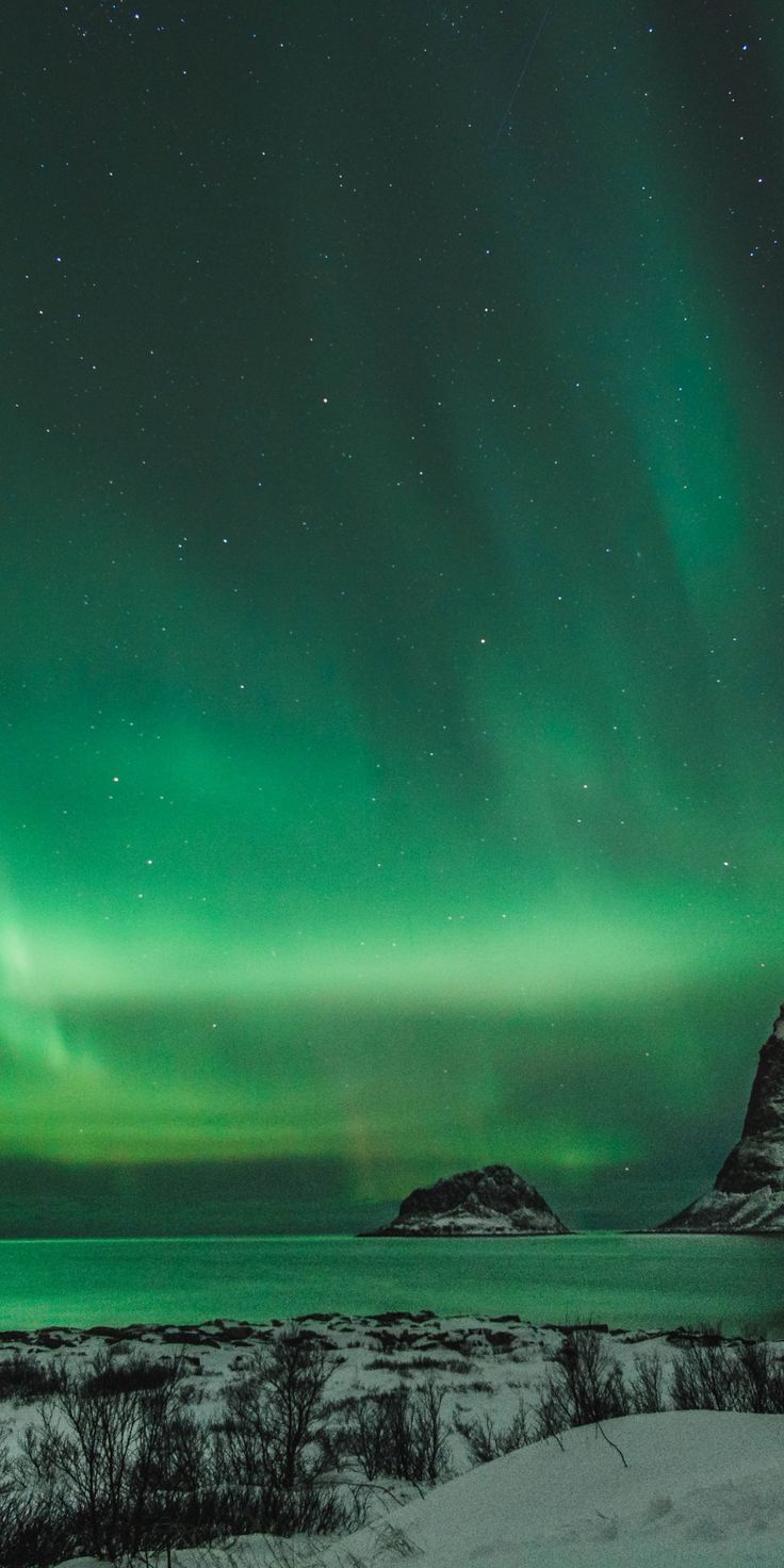 736x1472 Green lights, Northern Lights, night, nature, 1080x2160 wallpaper