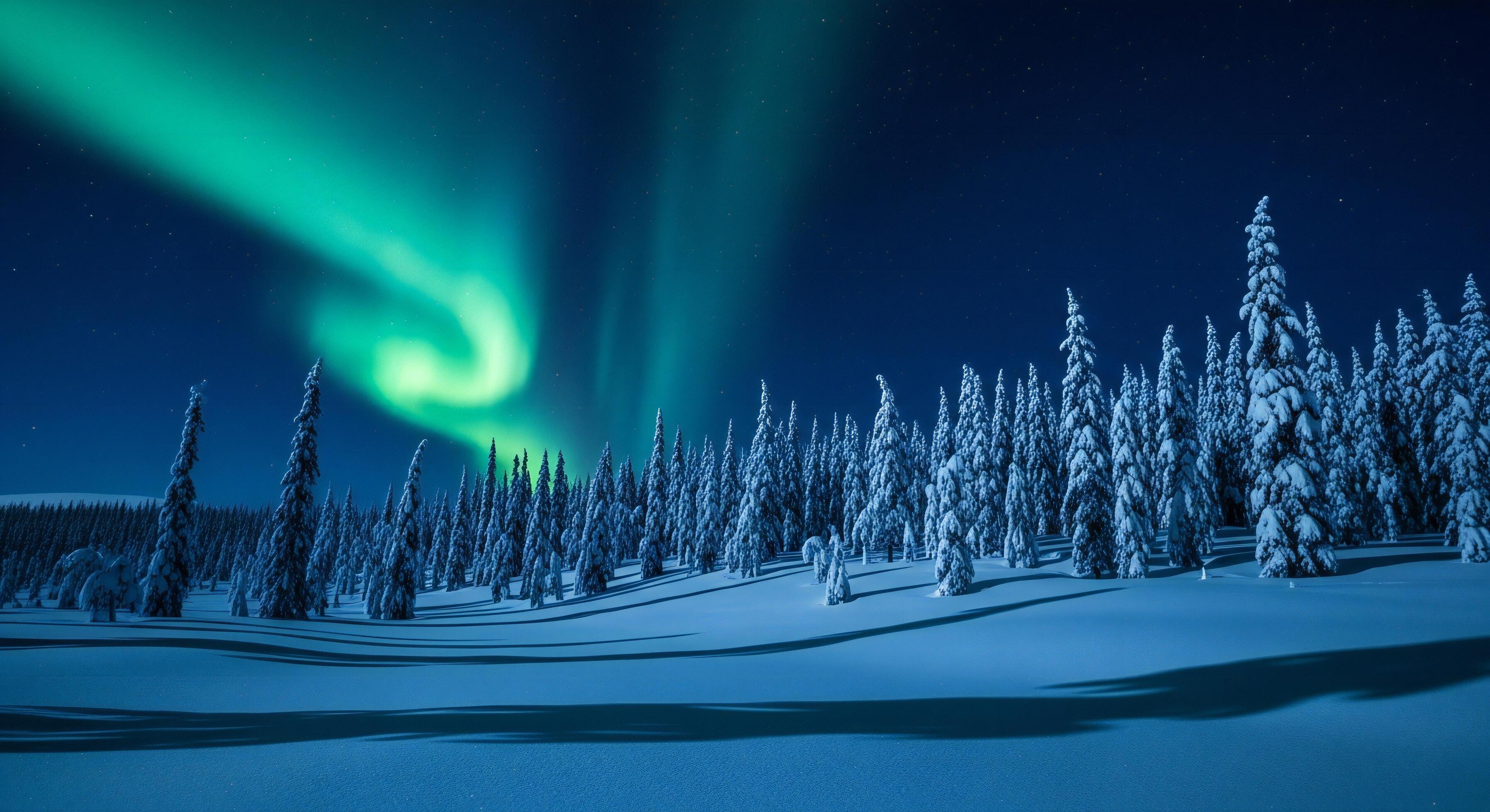 3593x1960 Nature background, Nature wallpaper, Vibrant green aurora borealis dances across starry night sky over snow covered evergreen forest
