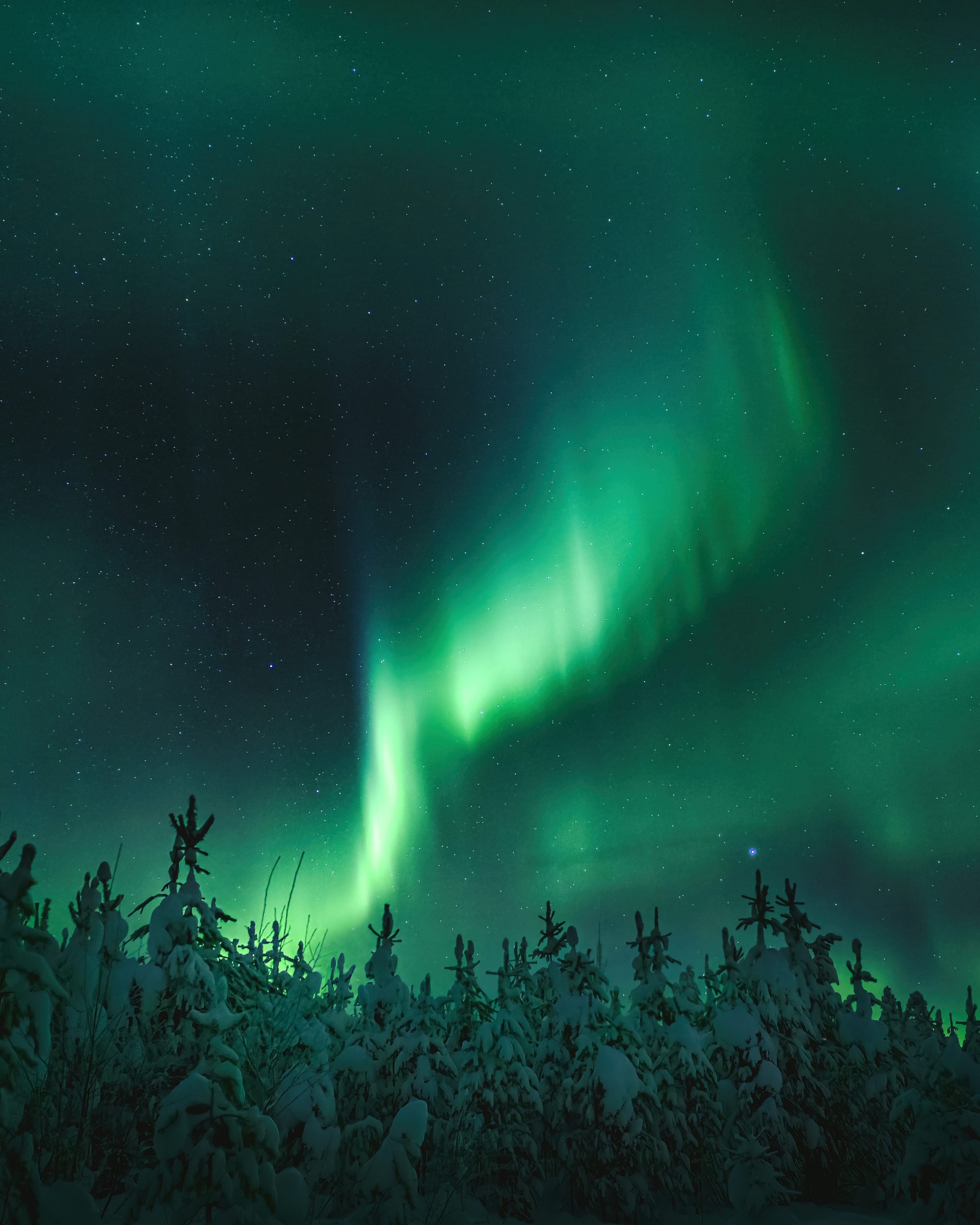 3000x3750 A green and blue aurora bore in the night sky