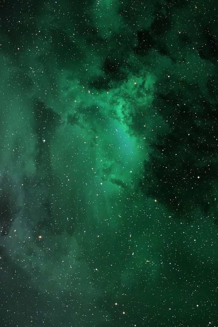 736x1104 Dark Green Aesthetic Wallpaper. Shiny starry green wallpaper, Green galaxy aesthetic, Forest green starry sky