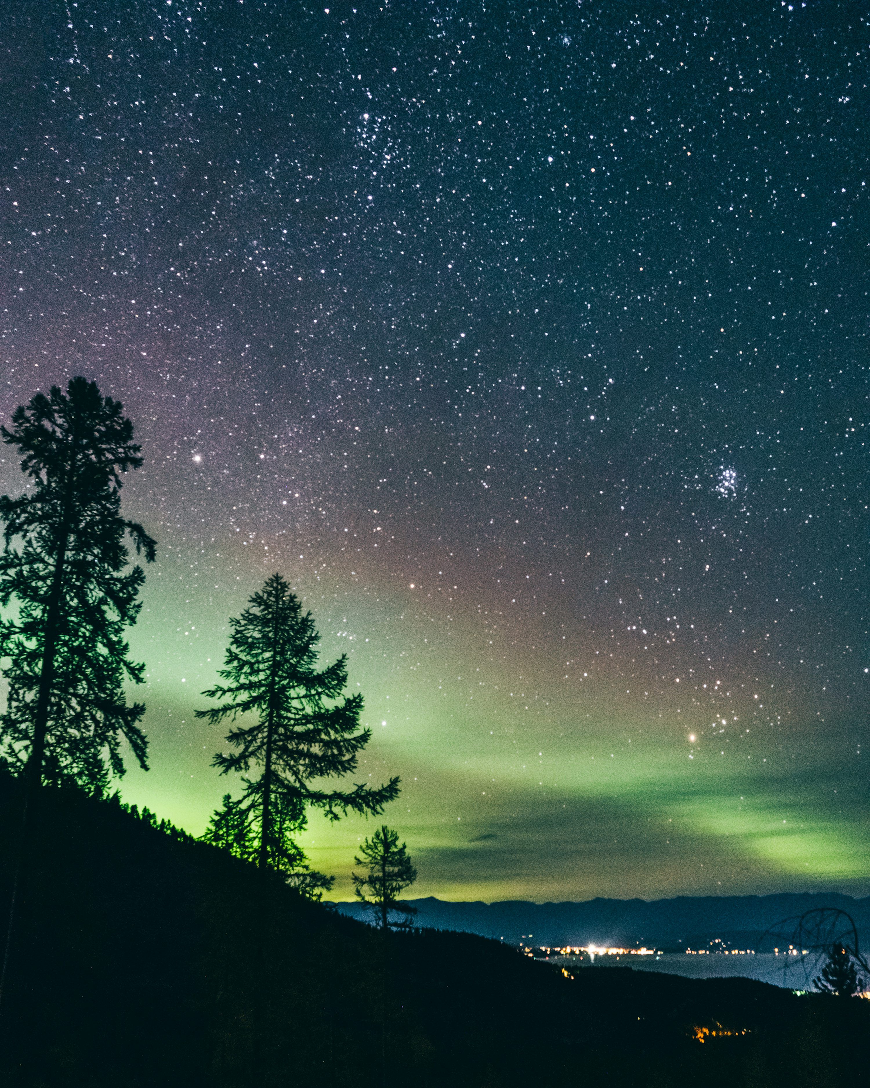 3000x3750 A green and purple sky with stars and trees