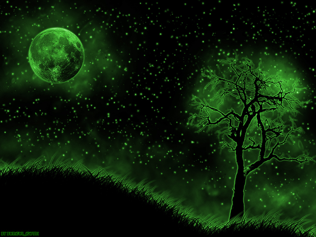 1024x768 wallpaper Green Night Sky