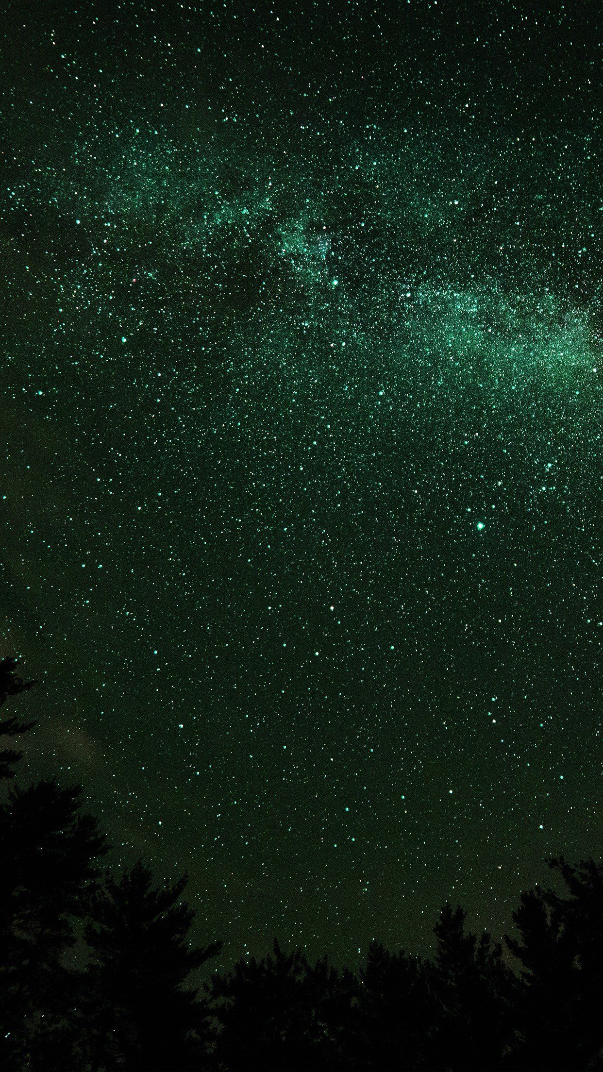 1242x2208 Nature Milkyway Space Sky Night Dark Green iPhone Wallpaper