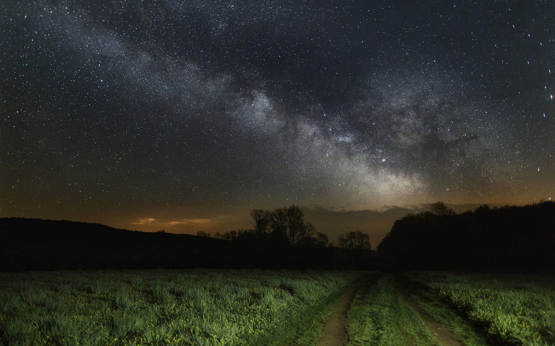 1920x1200 Wallpaper Green Grass Field Under Starry Night, Background Free Image