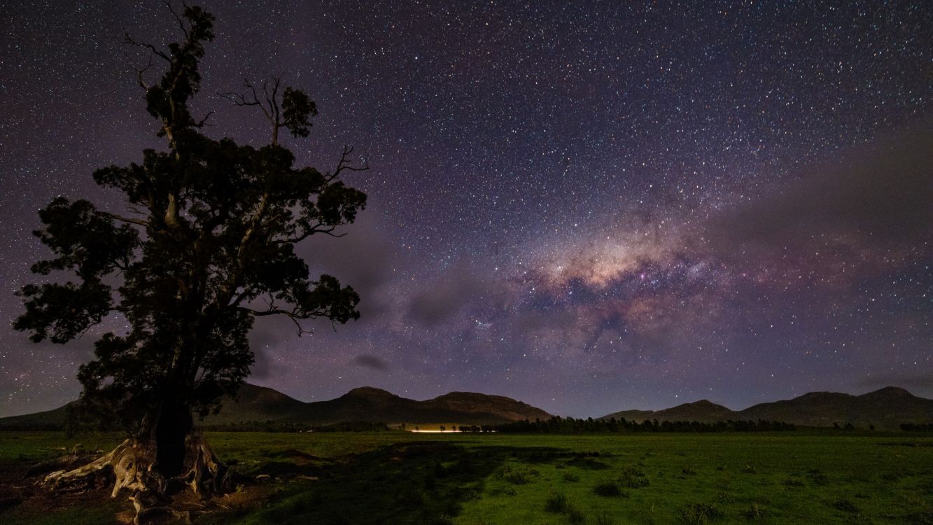 1333x750 Wallpaper Green Grass Field Under Starry Night, Background Free Image