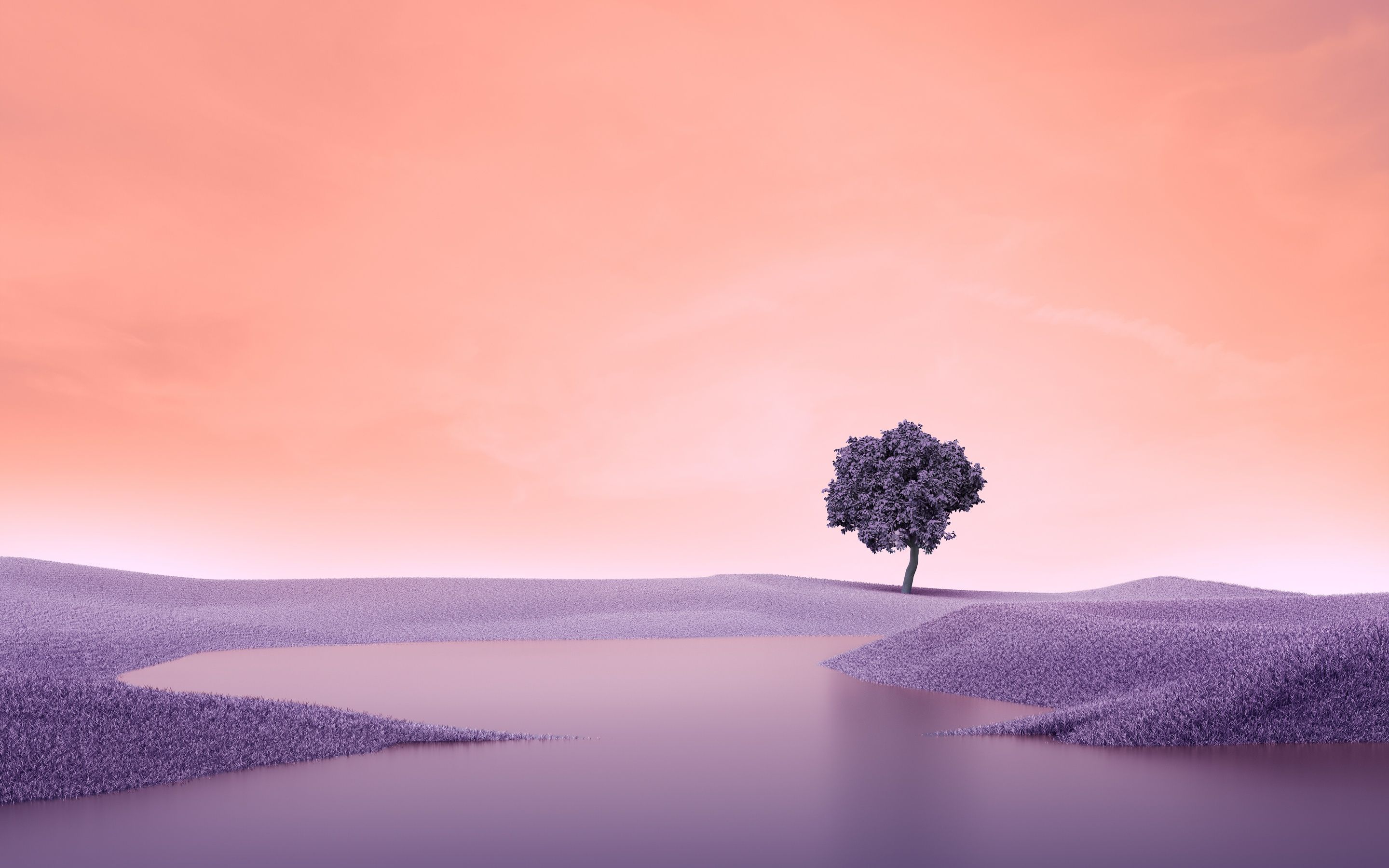 2880x1800 Lone tree Wallpaper 4K, Surreal, Landscape, Spring, Lake