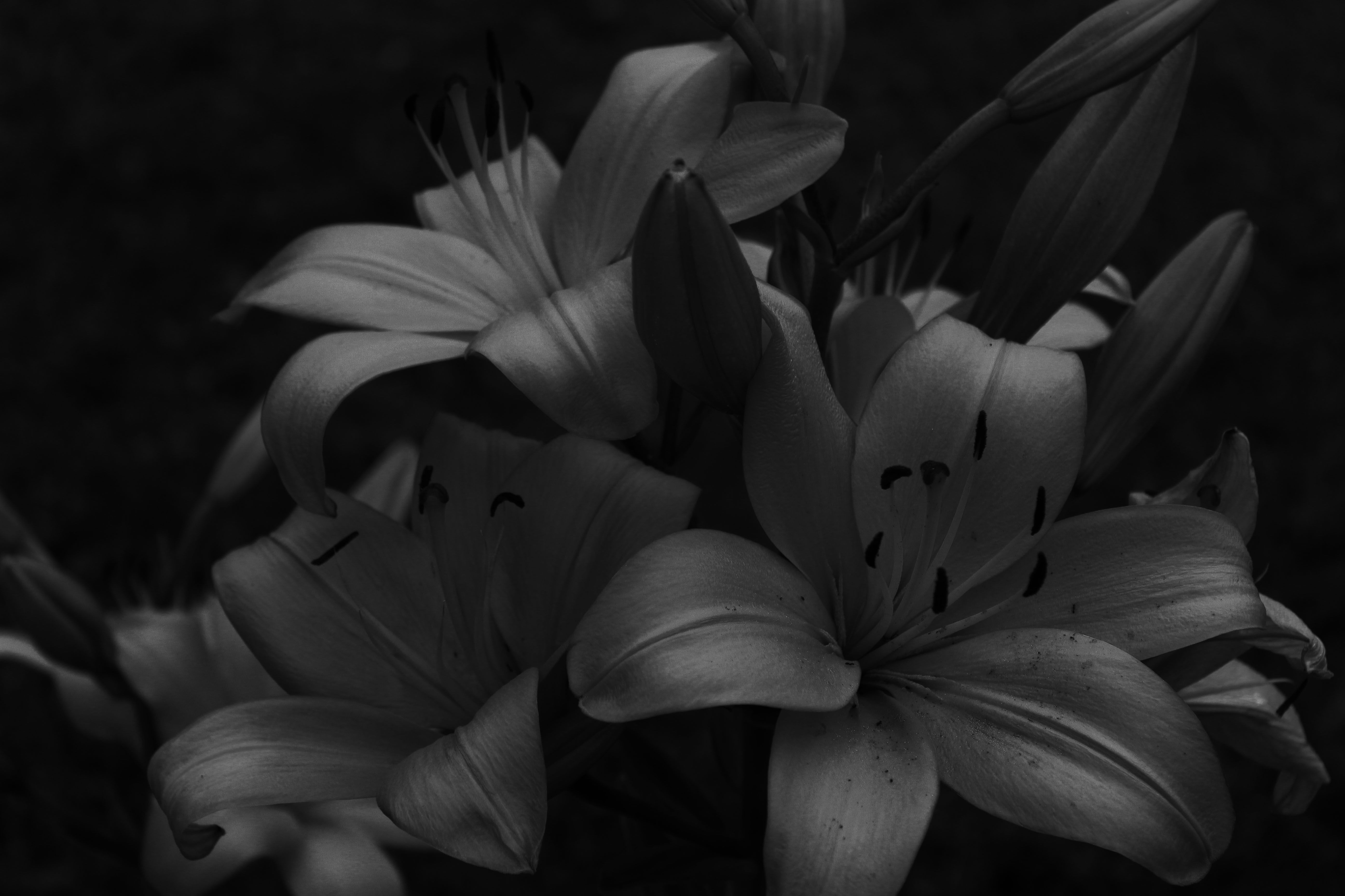 5184x3456 Black iPad Wallpaper Aesthetic Horizontal