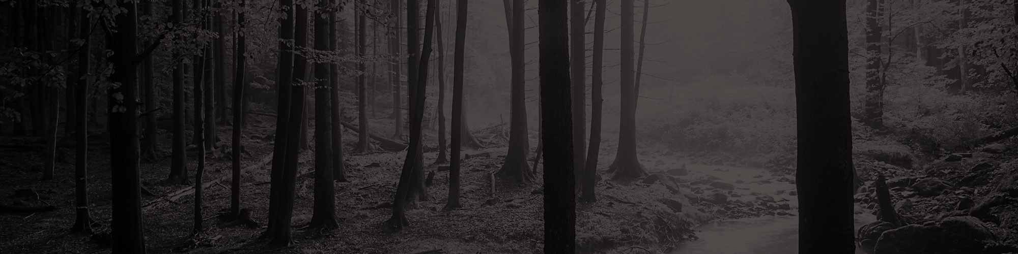 2000x500 Sustainability