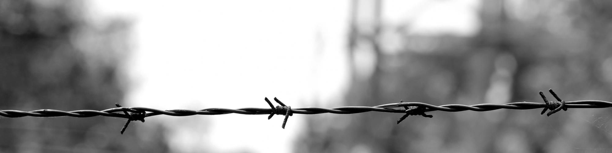 2000x500 Thoughts On Holocaust Education, Anti Semitism, And Overcoming Bigotry: Blog By Rabbi Marc D. Angel