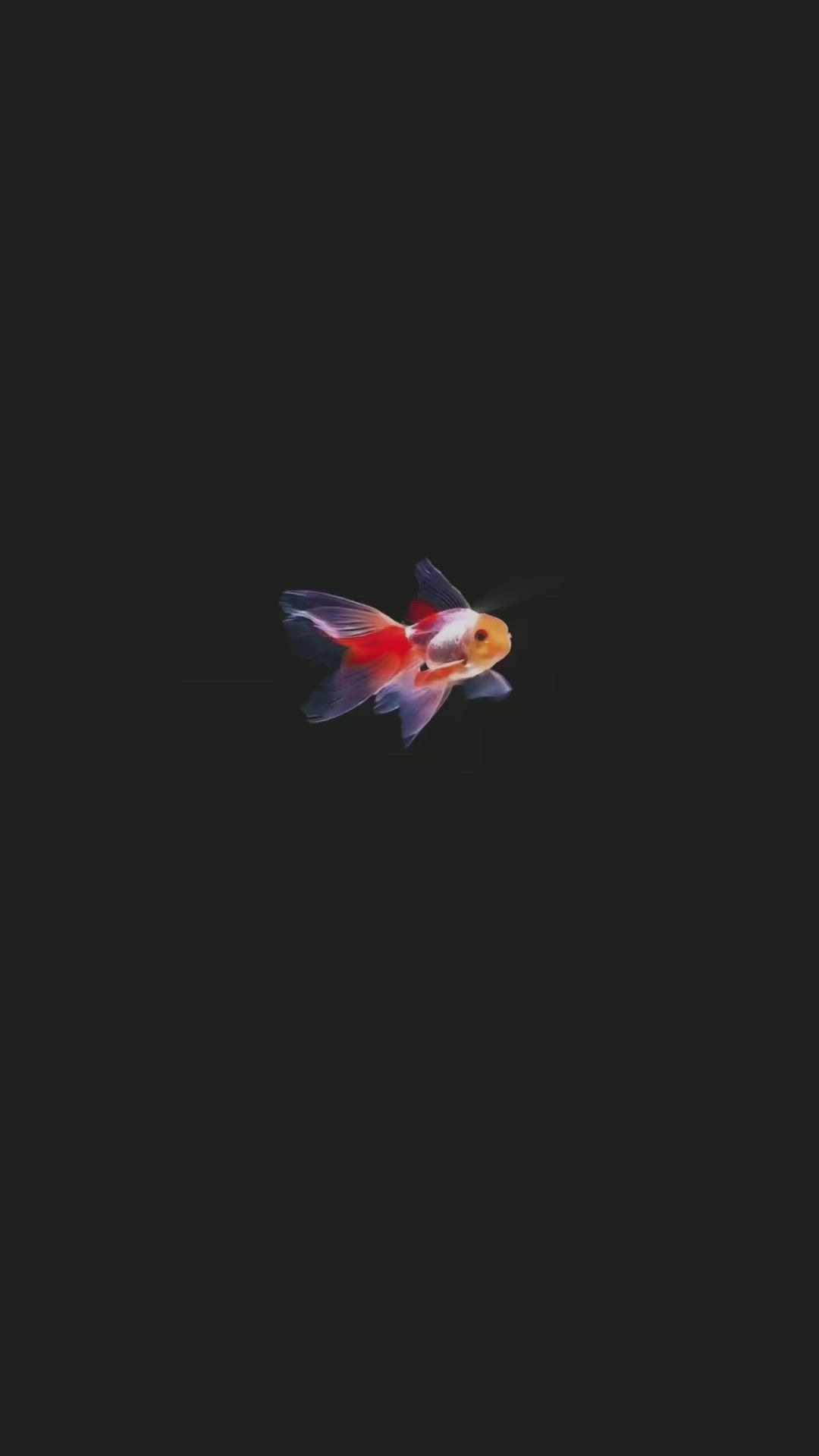 1080x1920 Lenovo Live Wallpaper