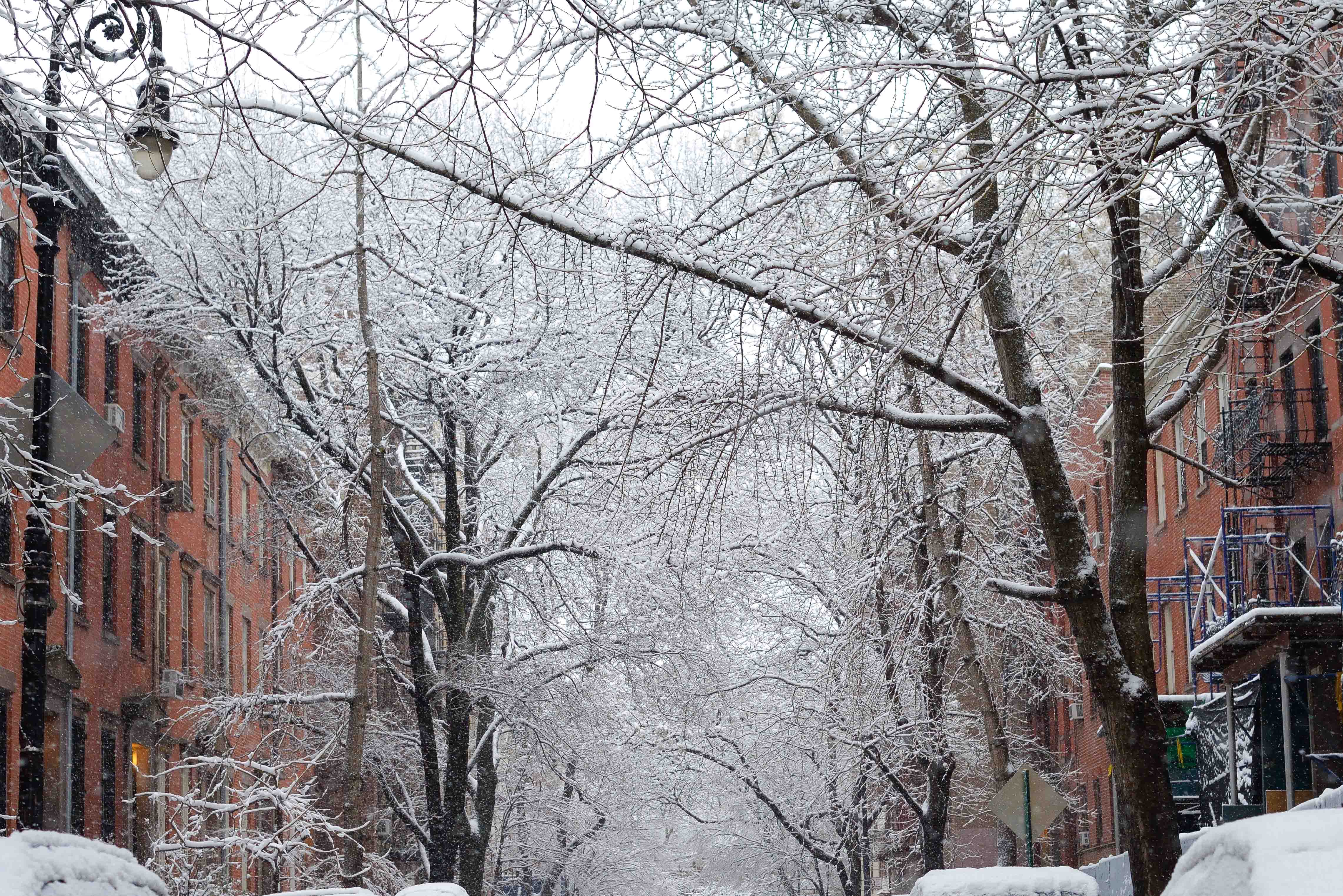 4564x3043 A Winter's Walkt Village