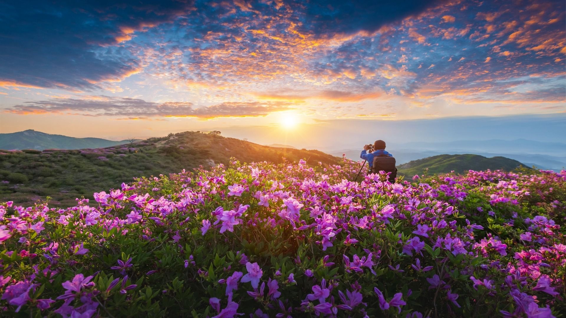 1920x1080 Uncover the Natural Splendor of Hwangmaesan County Park: Your Ultimate Travel Guide to South Korea's Hidden Gem Agoda: See The World For Less