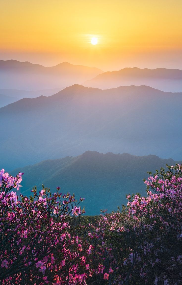 735x1148 Nature is Life