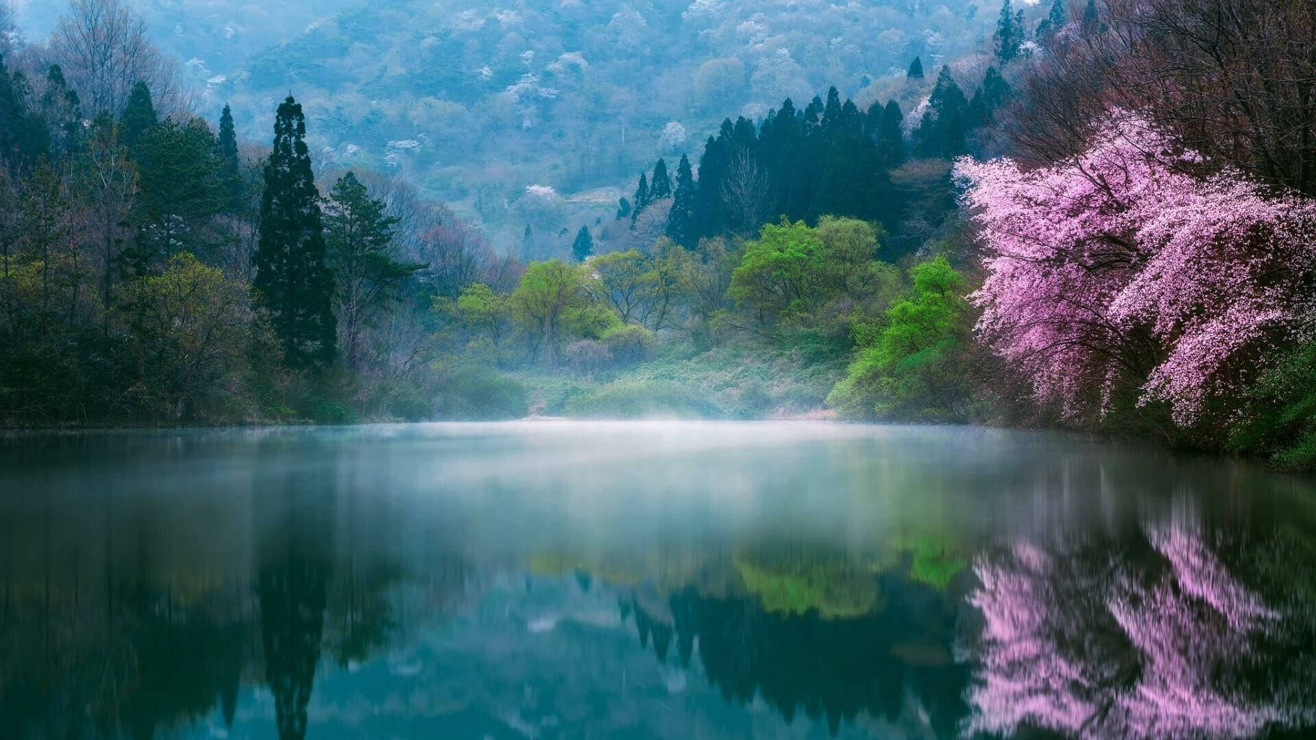 1920x1080 Download South Korea HD Lake Landscape Wallpaper