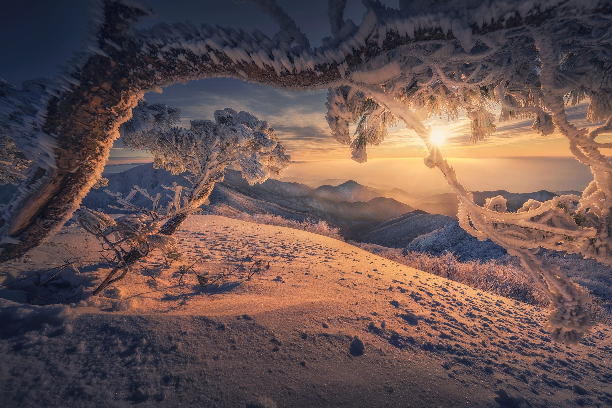 2000x1333 Winter Serenity: South Korea's Majestic Nature in HDx1333