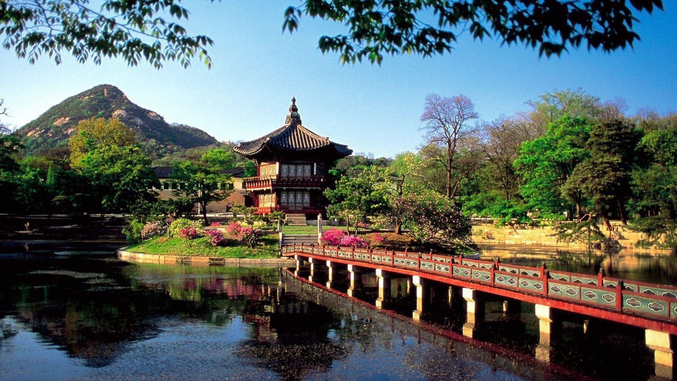 2560x1440 South Korea Nature HD Desktop Wallpaper 93384