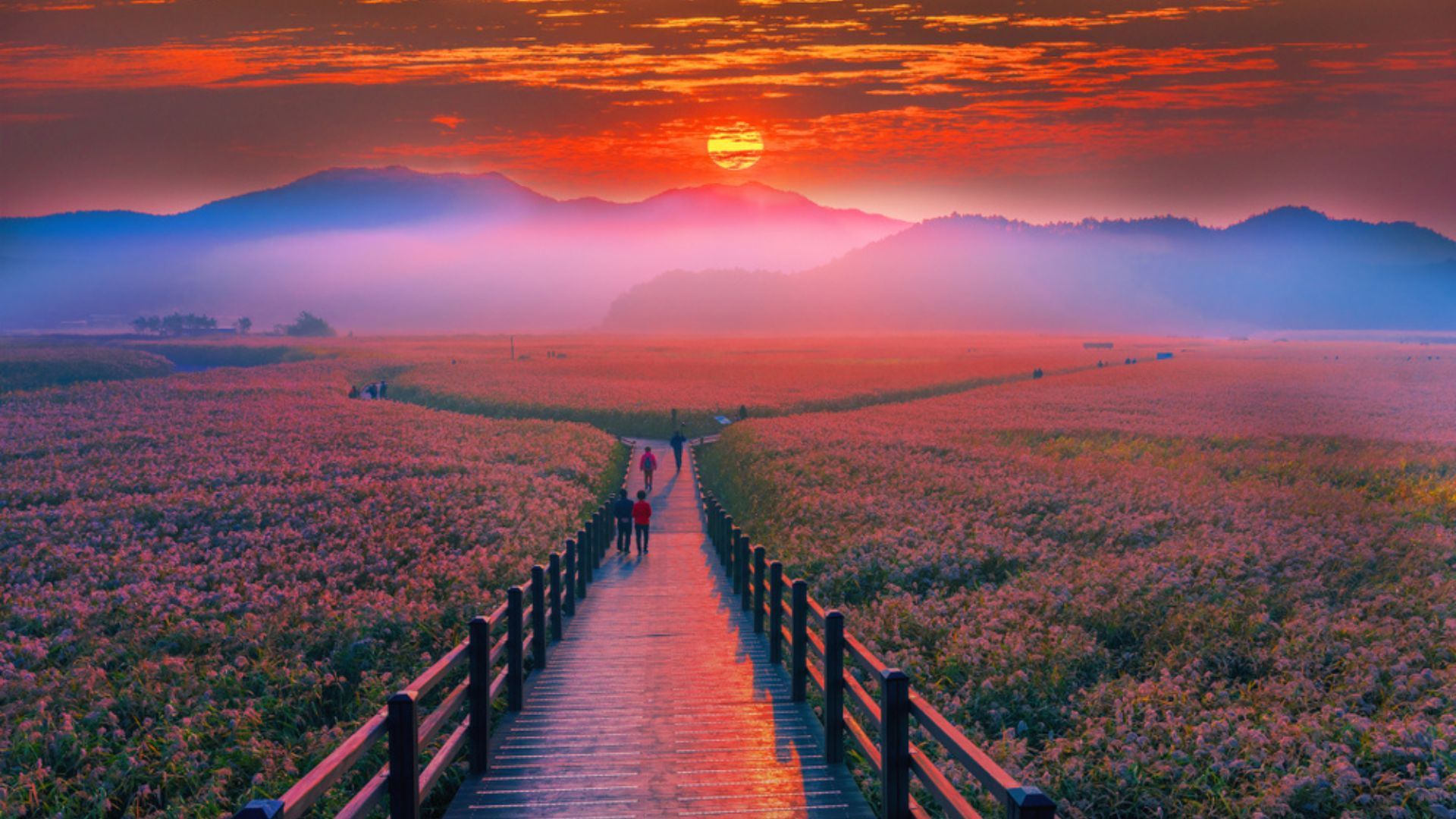 1920x1080 Most Beautiful Places To Visit In South Korea (With Photo)