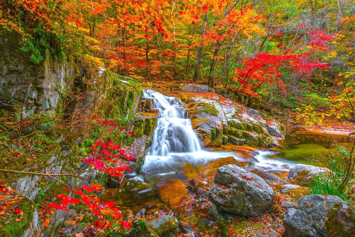 1383x923 Experiencing the Breathtaking Beauty of South Korea's Autumn Foliage