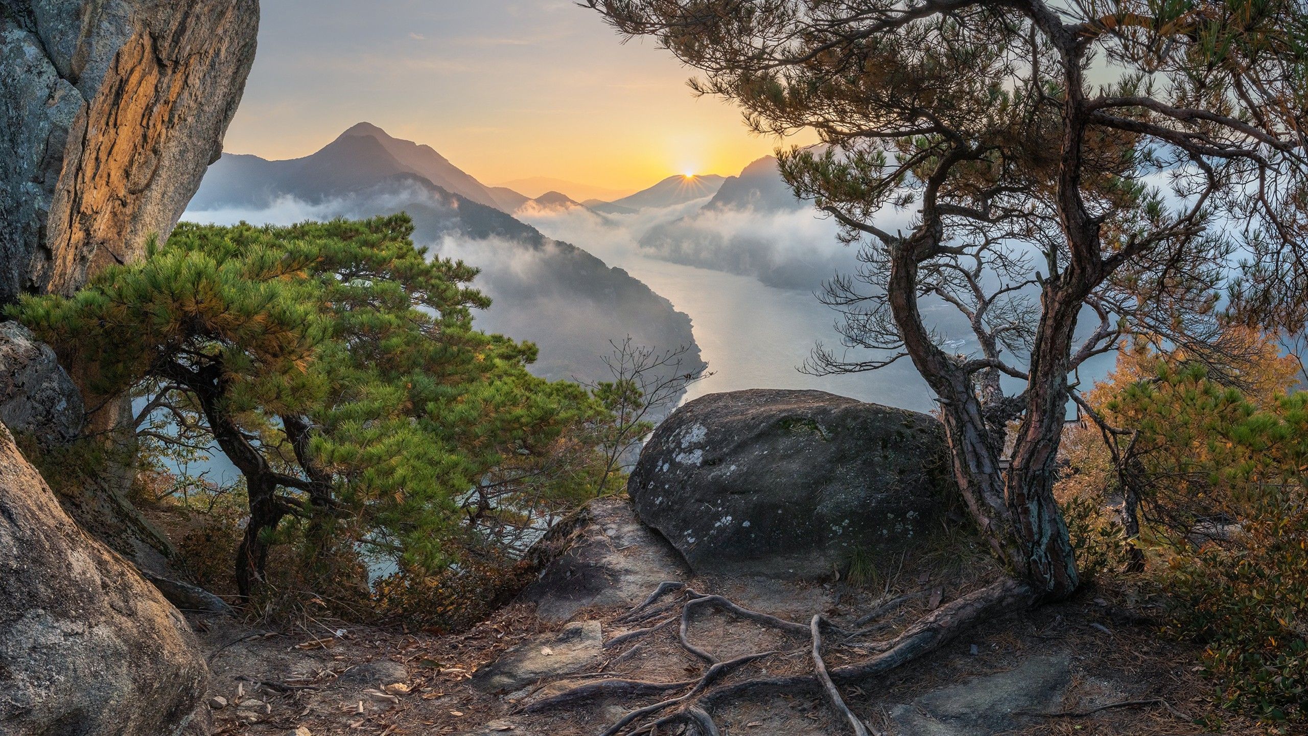 2560x1440 South Korea Mountain With Clouds And Tree Roots During Sunset HD Nature Wallpaper