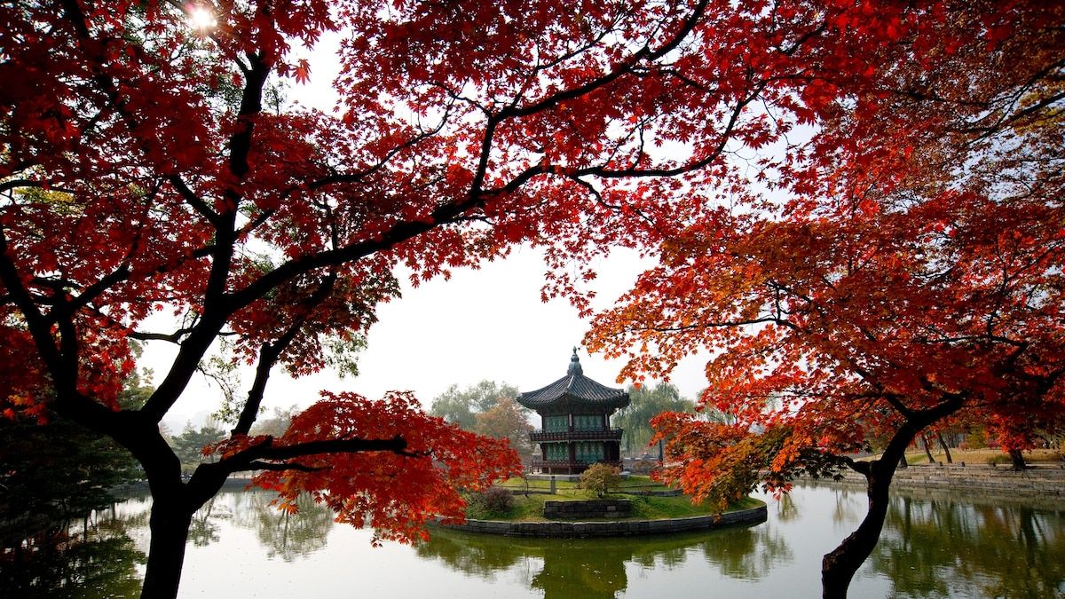 1200x675 South Korea Travel Guide
