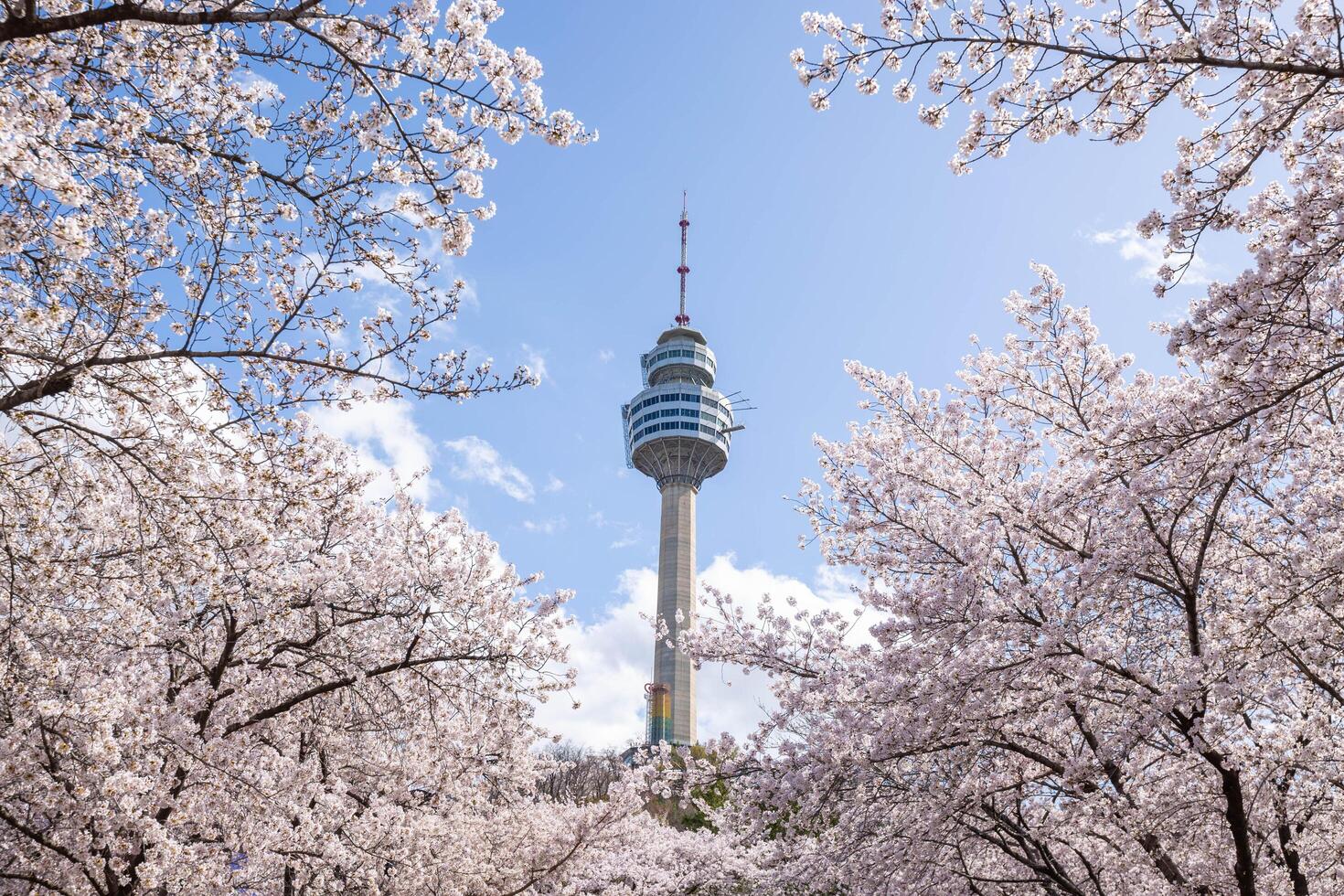 1470x980 South Korea Tower , Image and Background for Free Download