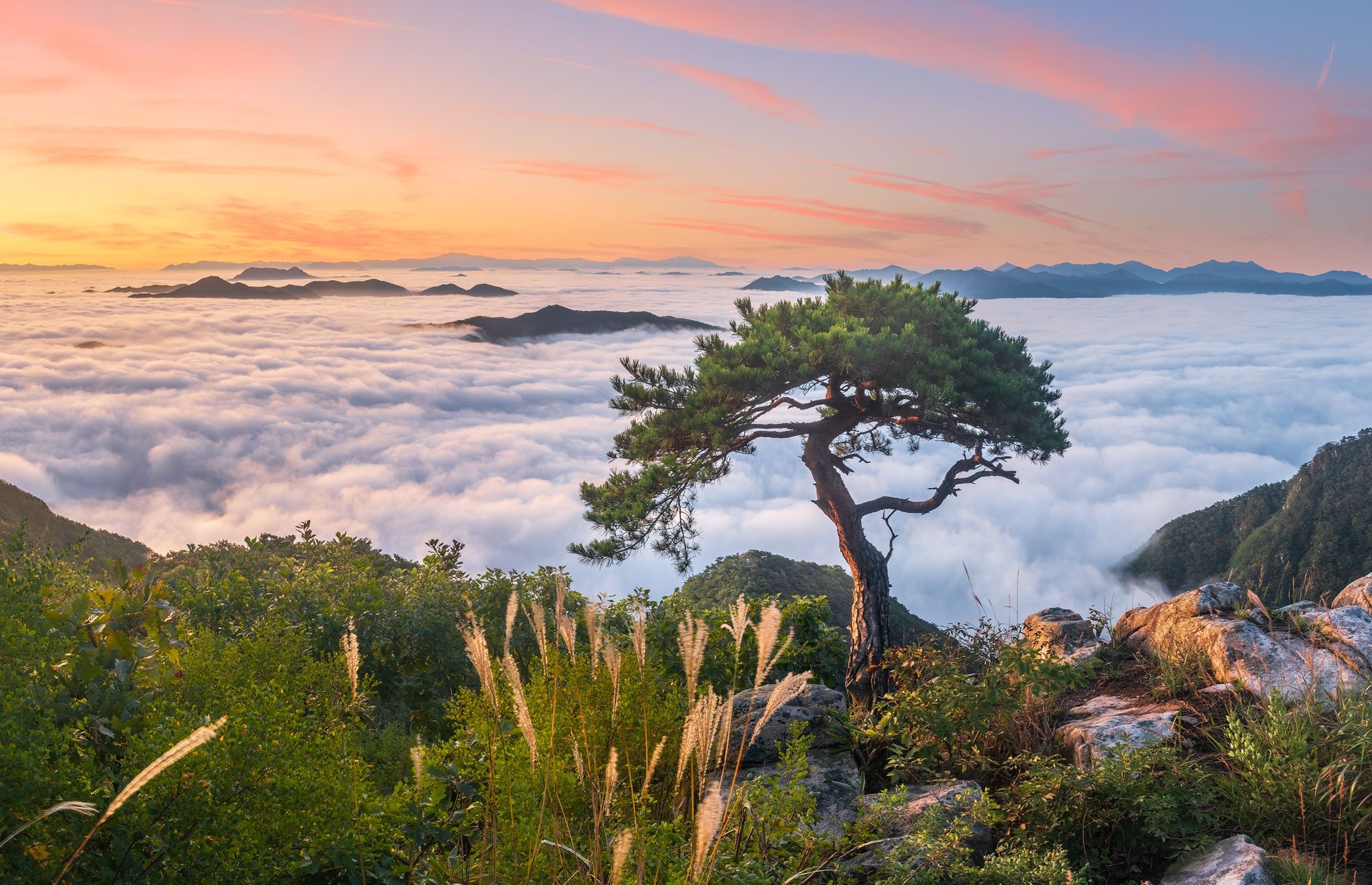 2100x1355 Download Sea Of Clouds South Korea Nature Landscape HD Wallpaperx1355