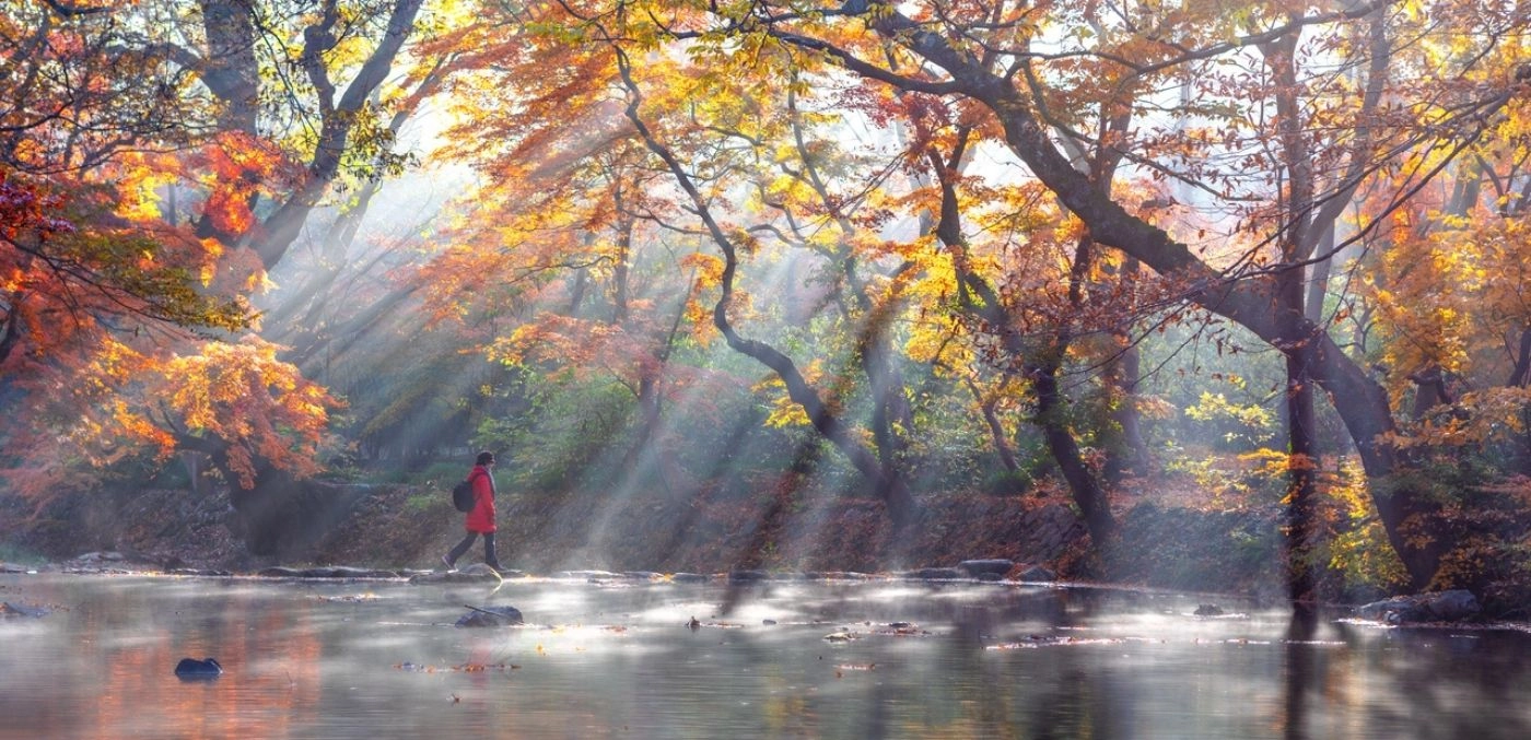 1400x677 These South Korea hiking trails are pure joy to walk