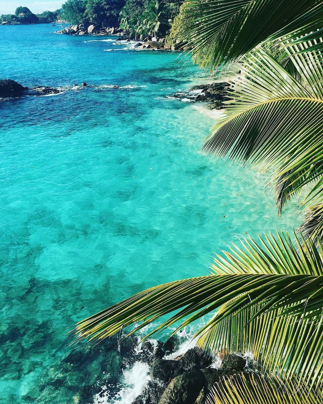 1280x1600 Download Get lost in the beauty of the tropical island! Wallpaper