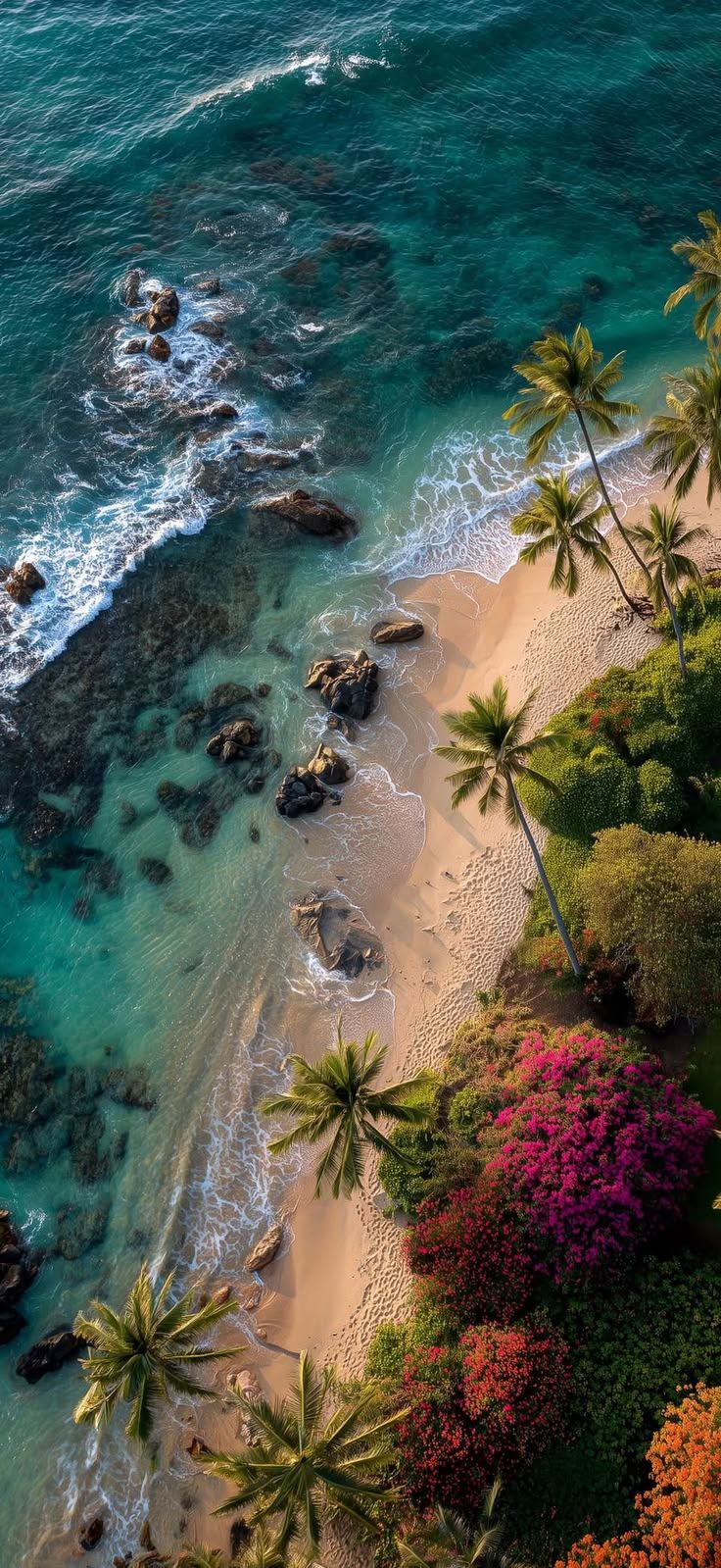 736x1599 Beach vacation picture. Aesthetic tropical vacation, Tropical places wallpaper phone, Island life house