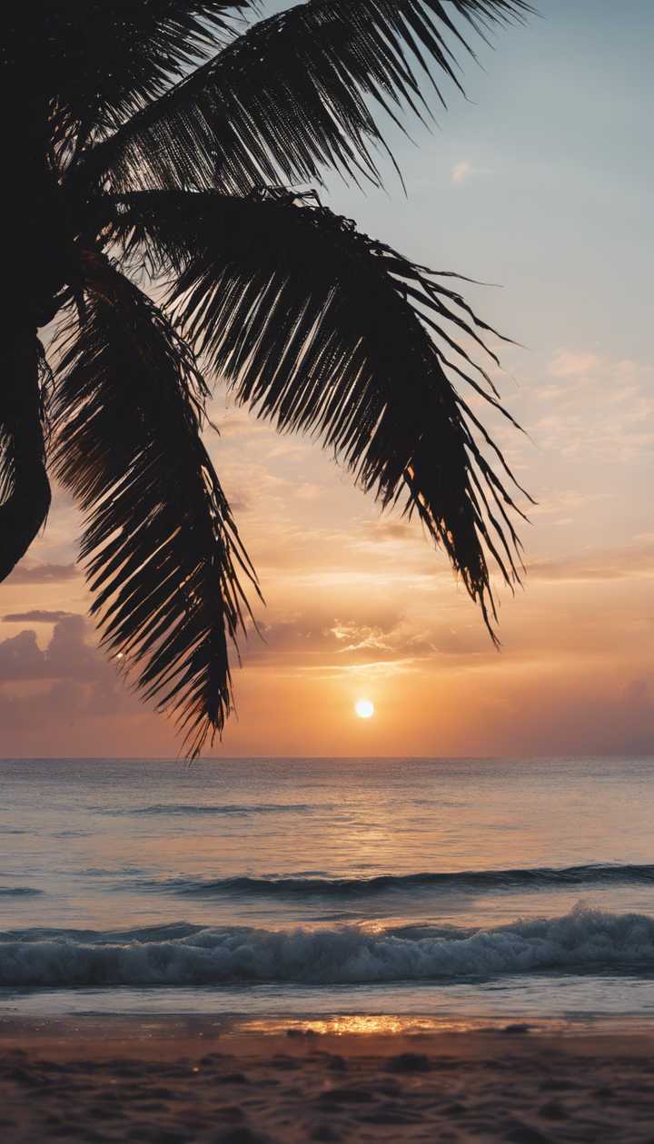 720x1260 A tropical island sunset with a silhouette of a palm tree. Wallpaper [1d9b4da0c087410b831a]