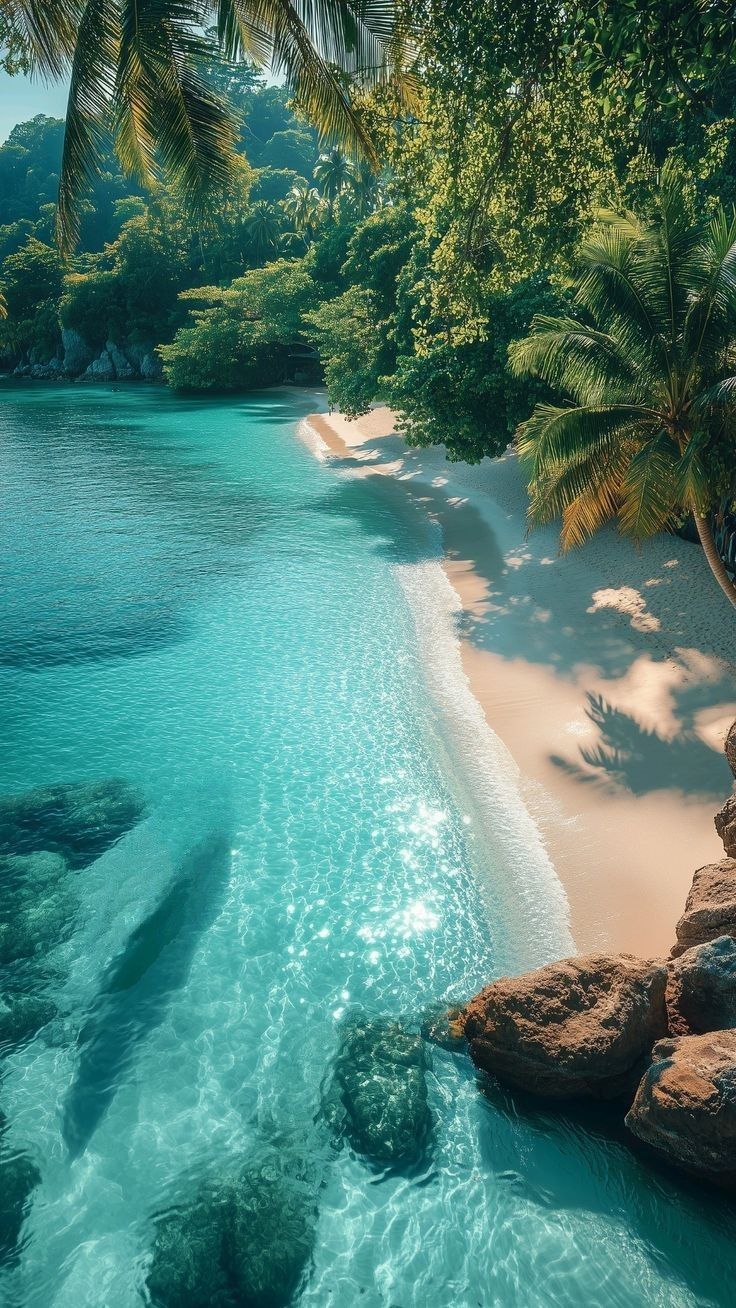 736x1308 Tropical island aesthetic wallpaper. Beach tropical wallpaper aesthetic, Tropical beach wallpaper iphone, Boat on calm