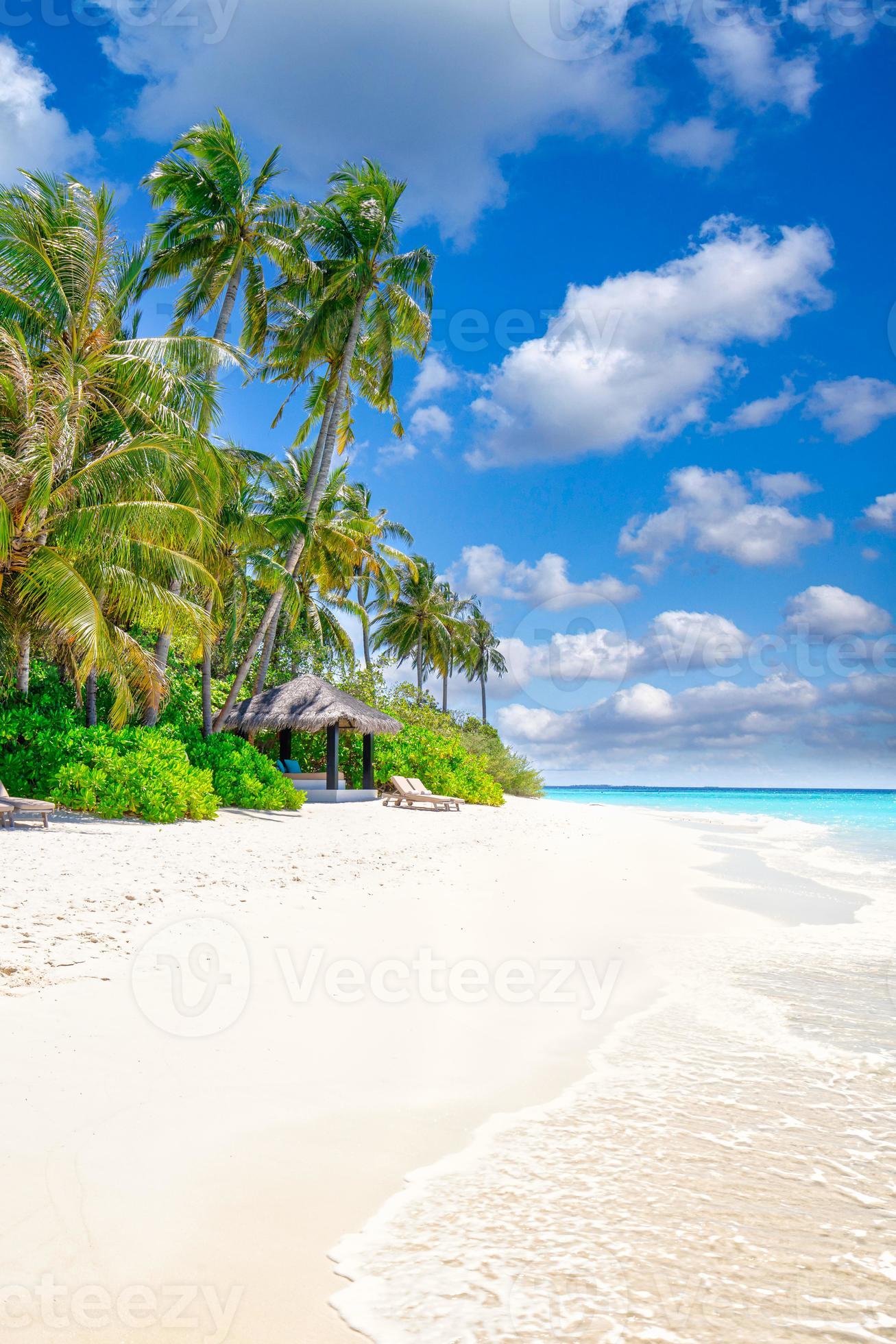 1307x1960 Beach nature concept. Palm beach in tropical idyllic paradise island. Exotic landscape for dreamy and inspirational summer scenery use for background or wallpaper