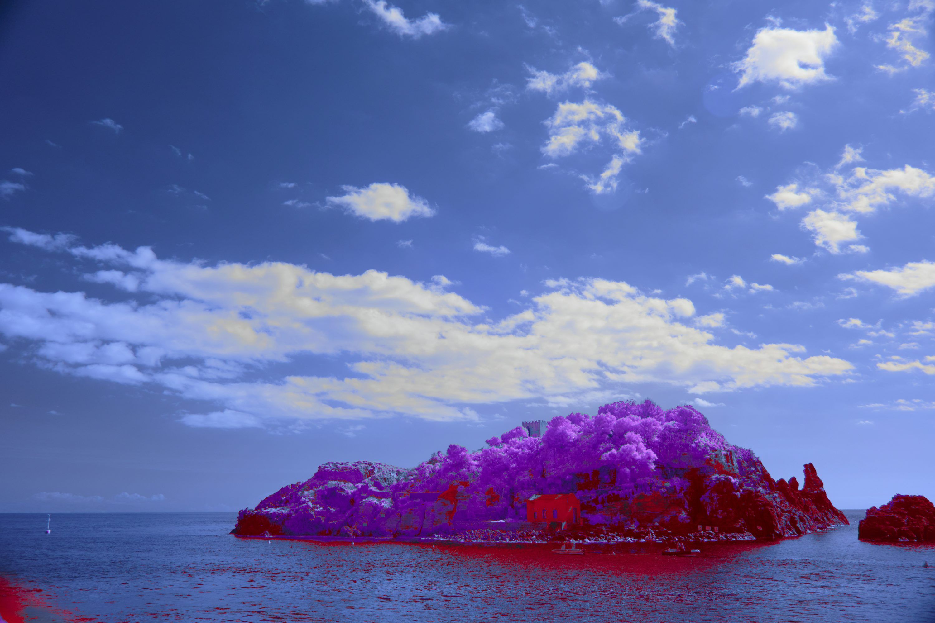 3000x2000 Island with purple trees under a blue sky