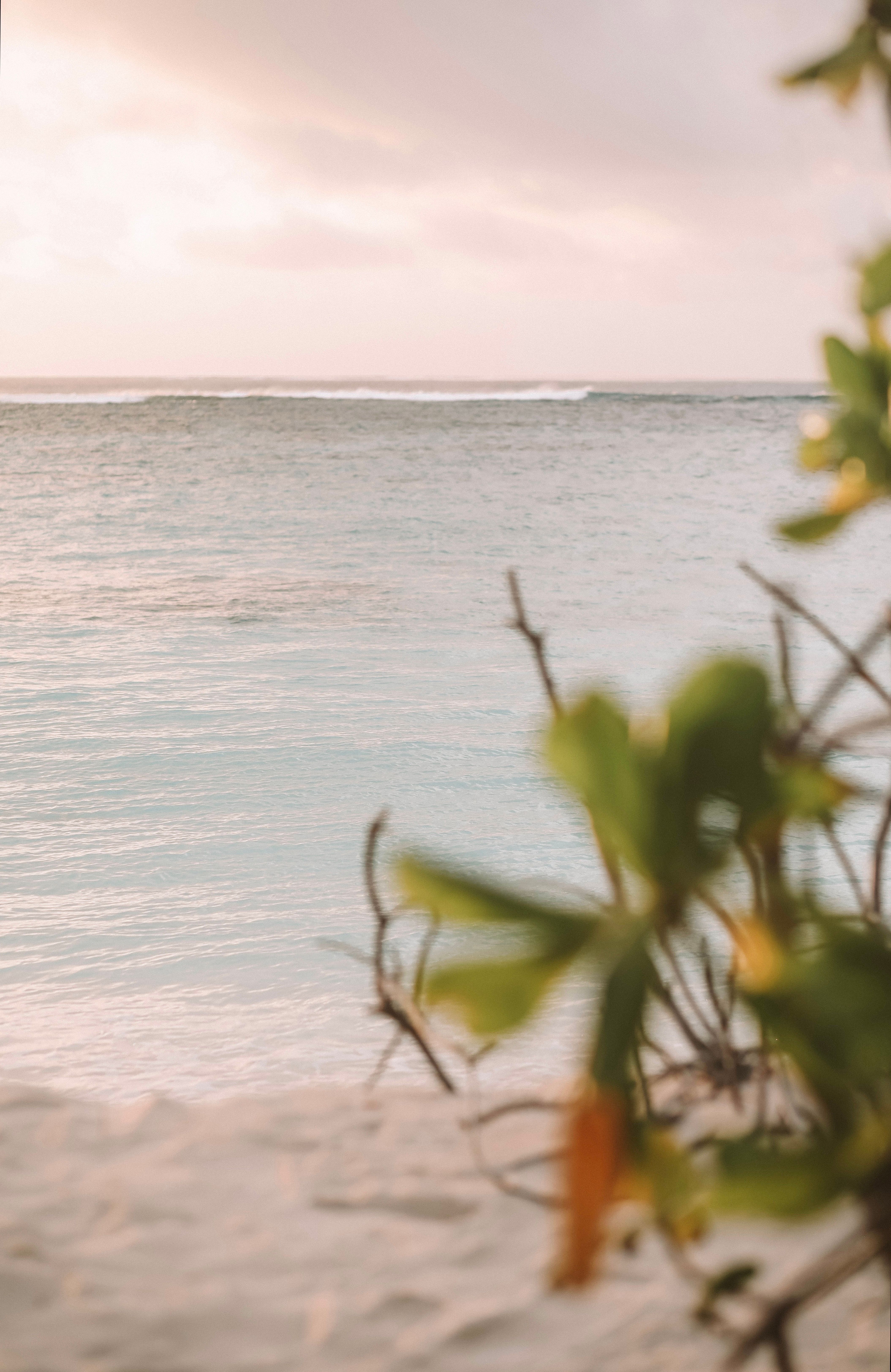4219x6495 Beach Island Photography · Free