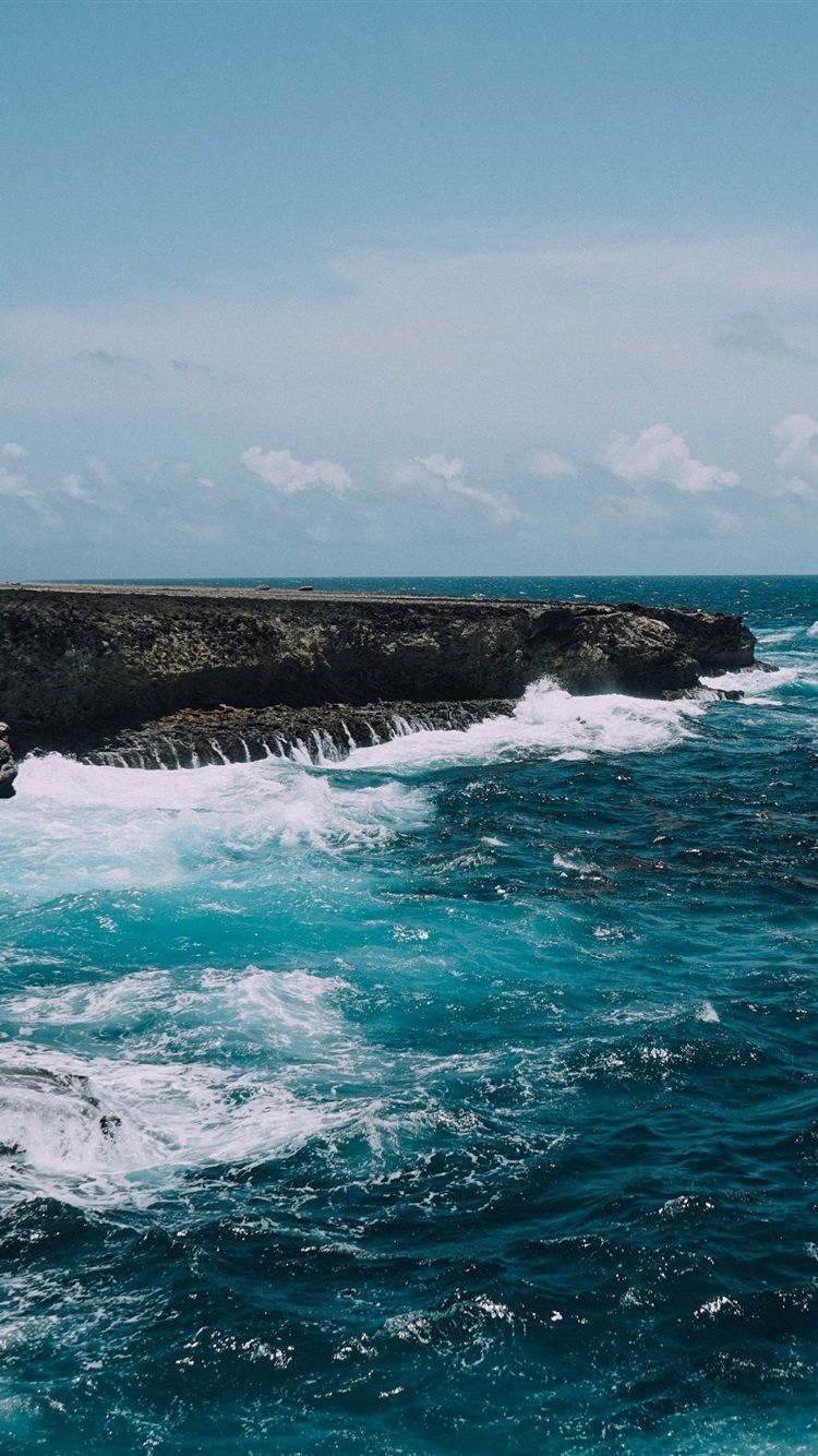 750x1334 Bonaire Island, Caribbean, Netherlands, Sea 1080x1920 IPhone 8 7 6 6S Plus Wallpaper, Background, Picture, Image