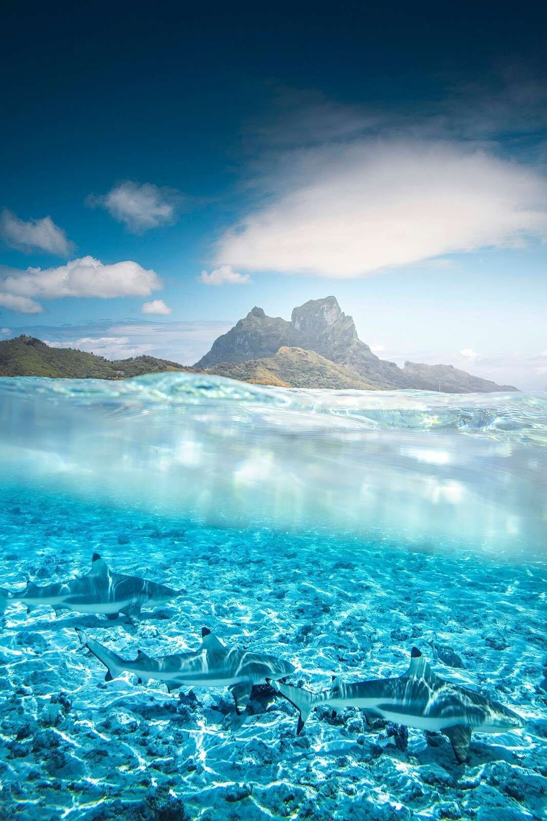 1067x1600 Wallpaper Mural in turquoise lagoon