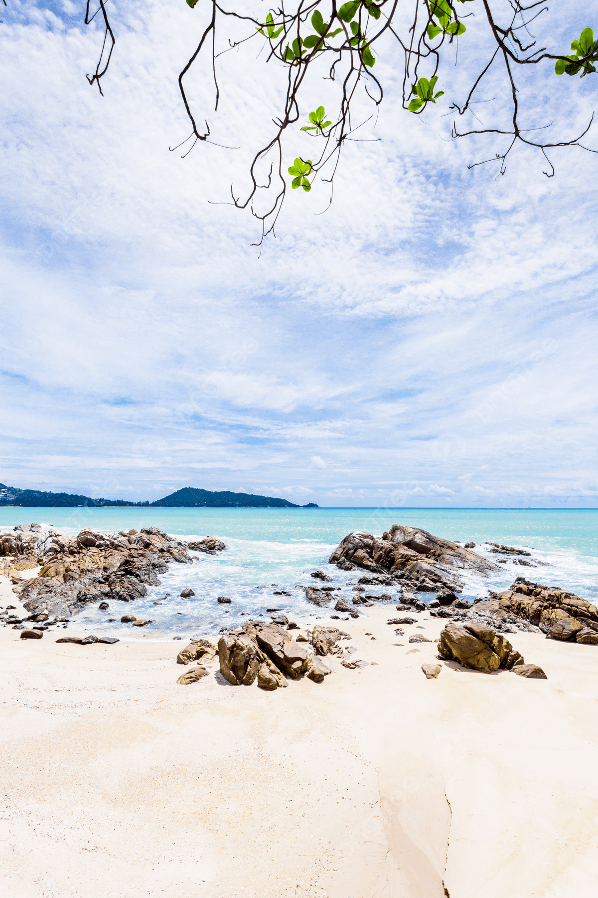 1200x1800 Aesthetic Tropical Beach Getaway With Lush Leaves Frame Treesperfect For Summer Holidays And Vacation Photo Background And Picture For Free Download