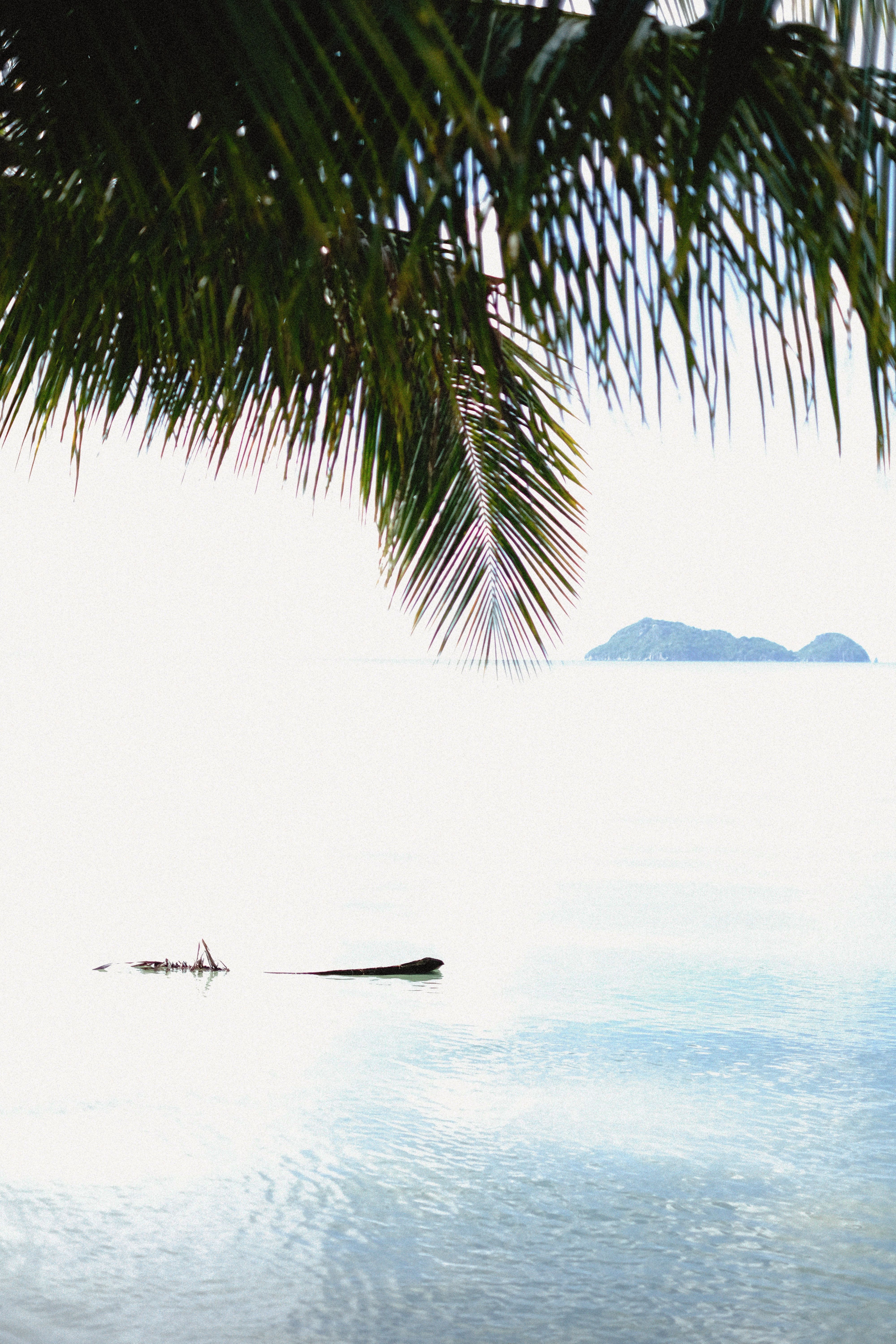 4000x6000 Tropical Island Photo, Download The BEST Free Tropical Island & HD Image