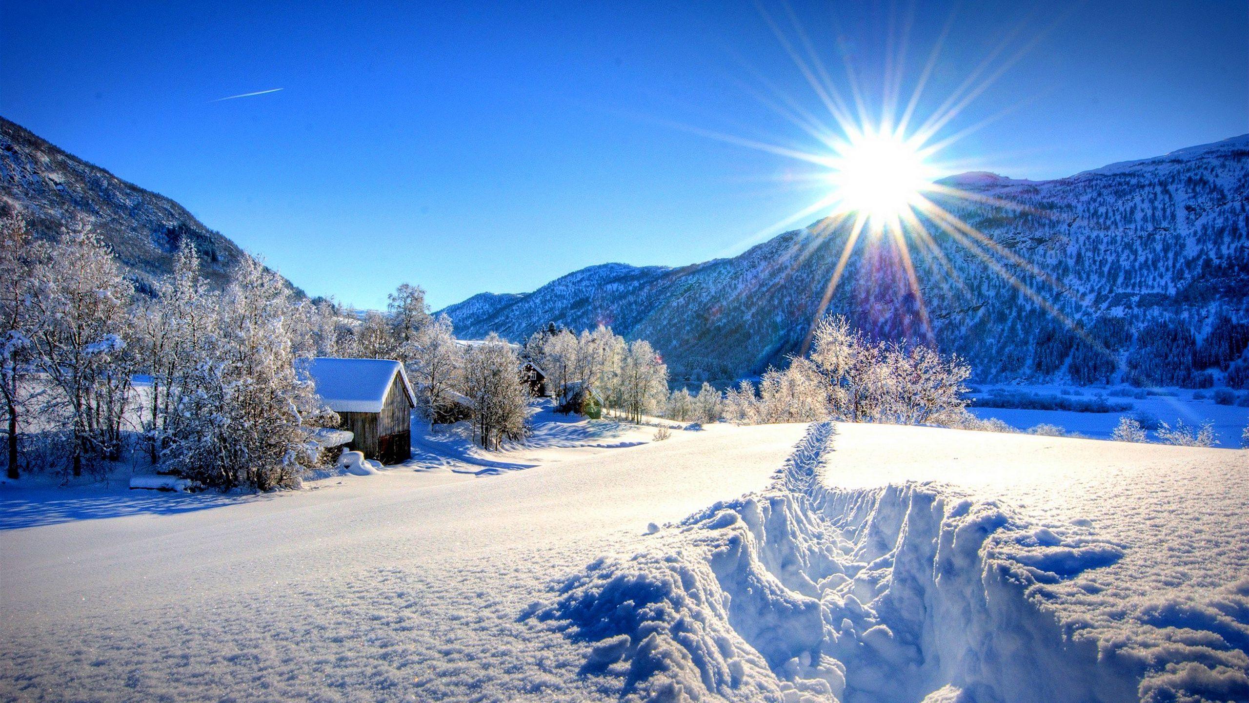 2560x1440 Download wallpaper 2560x1440 nature, forest, dawn, winter, mountains widescreen 16:9 HD background