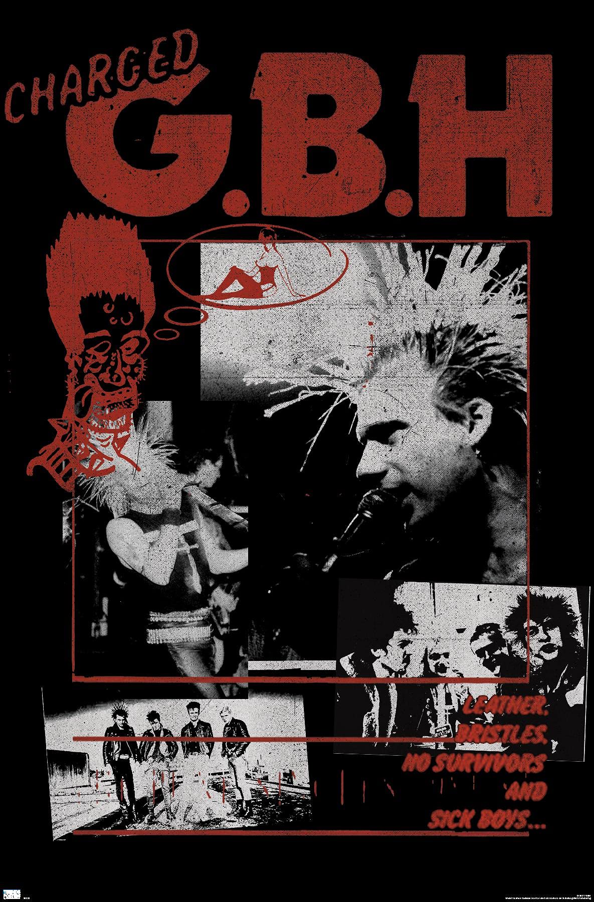 1185x1800 Trends International GBH Wall Poster, 22.4L x 14.7W, Premium Unframed Version: Posters & Prints