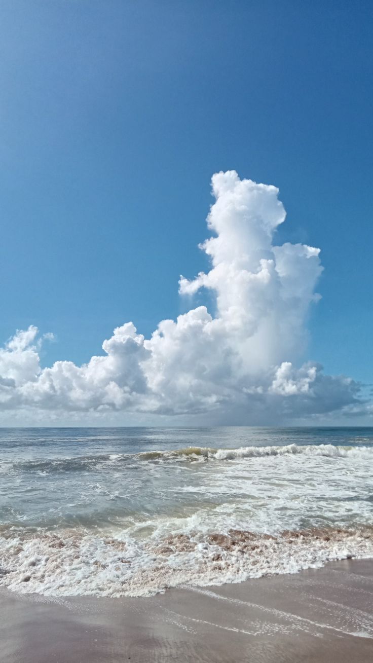 736x1308 Puri beach