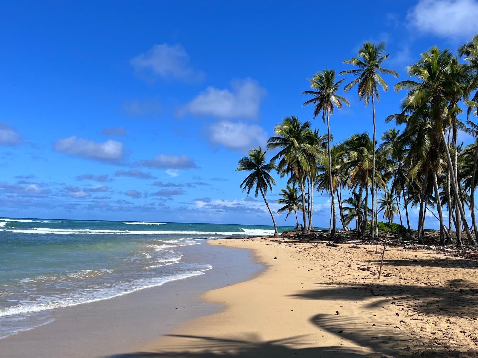 1600x1200 Puri Beach You Need To Know