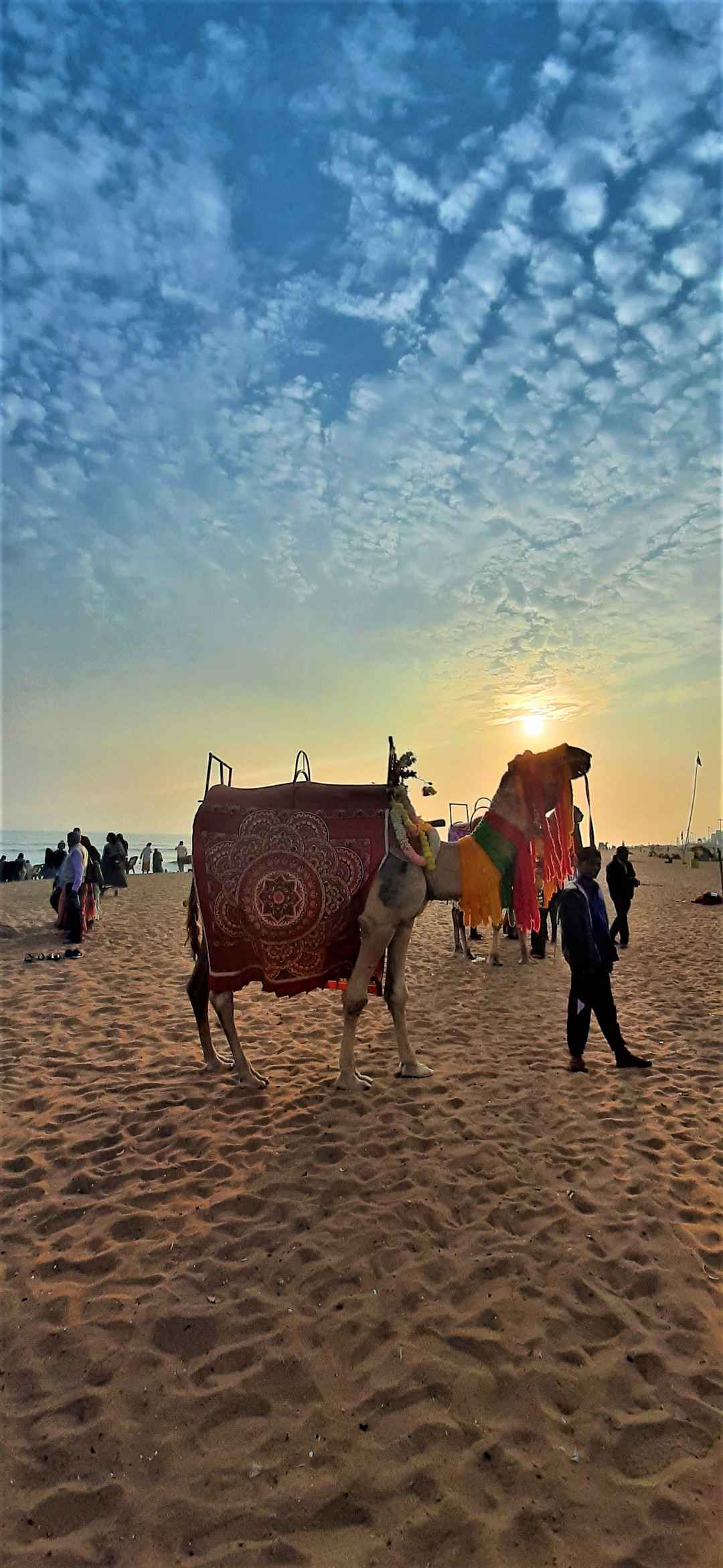 1080x2343 The gorgeous golden sunsets shouldnt be missed in the Golden Beach of Puri, Odisha