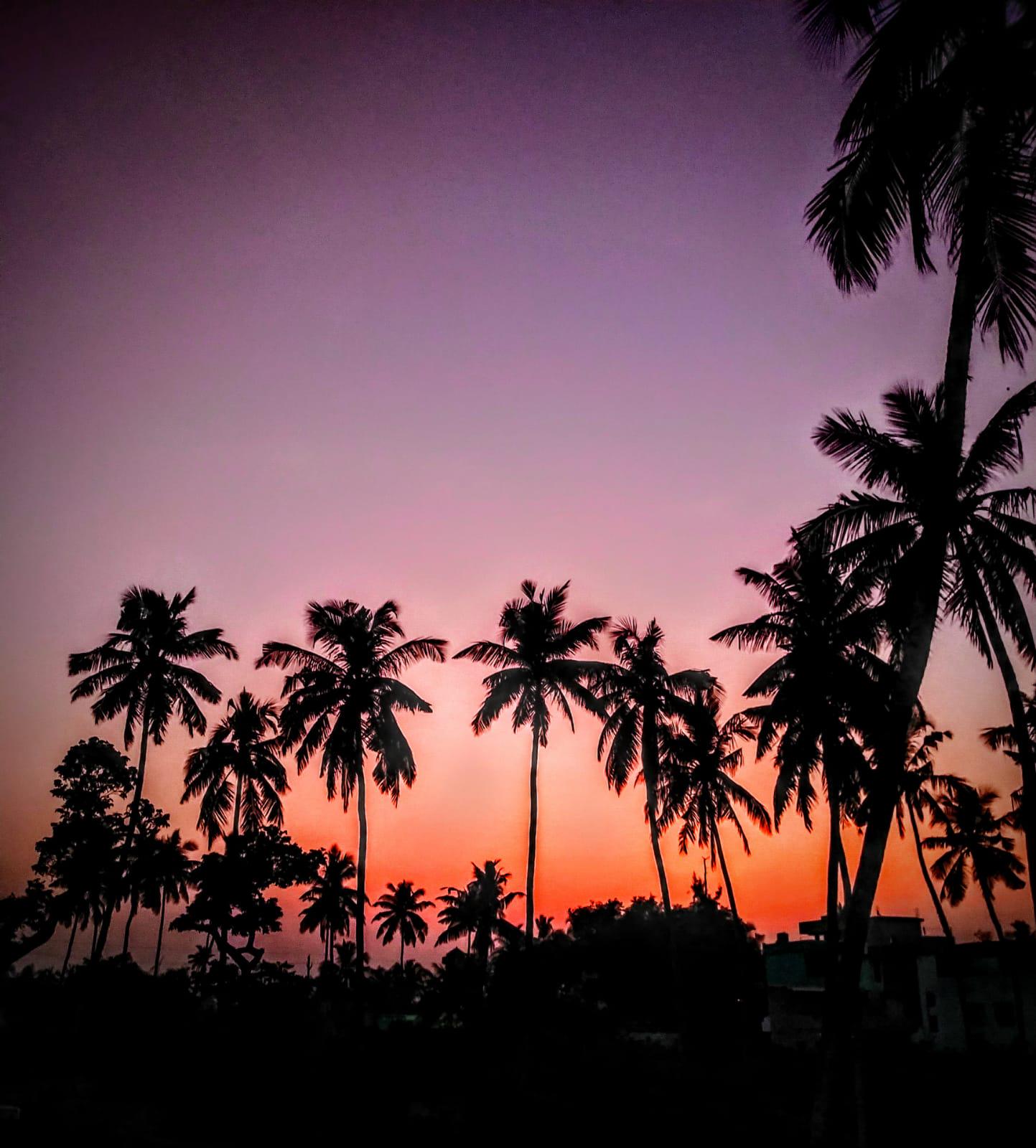 1443x1600 Beautiful Sunset view through my Hotel in Puri beach, Odisha