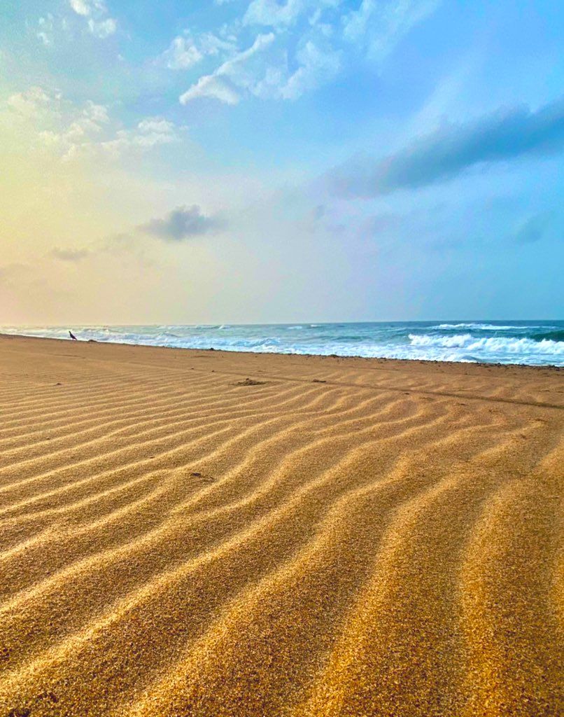 806x1024 Puri Beach Wallpaper