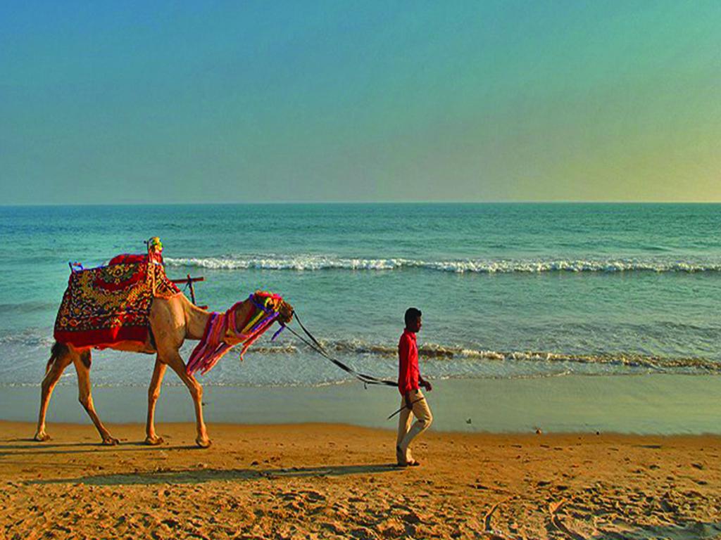 1024x768 Puri Beach Wallpaper