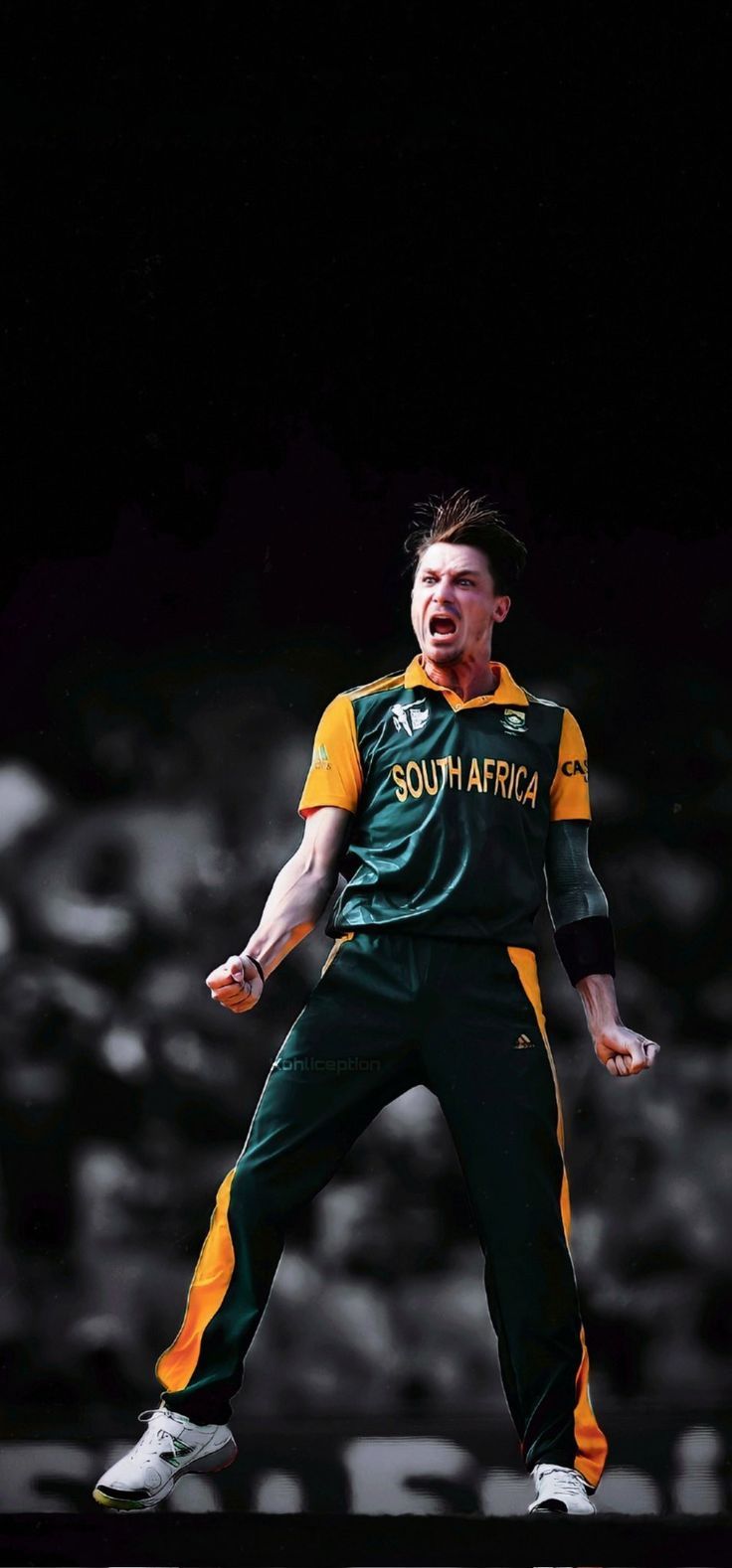 736x1578 Dale Steyn 4k HD Wallpaper