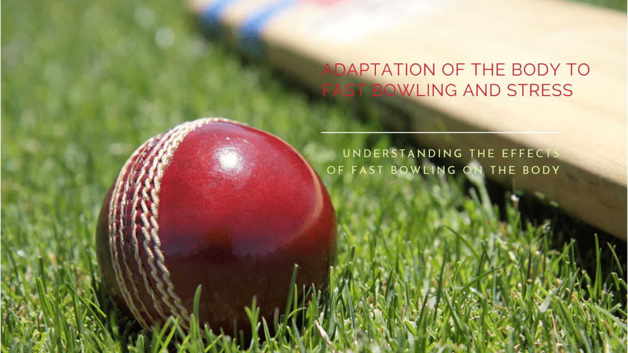 1280x720 Stress and Fast Bowling: The Body's Adaptation Processes