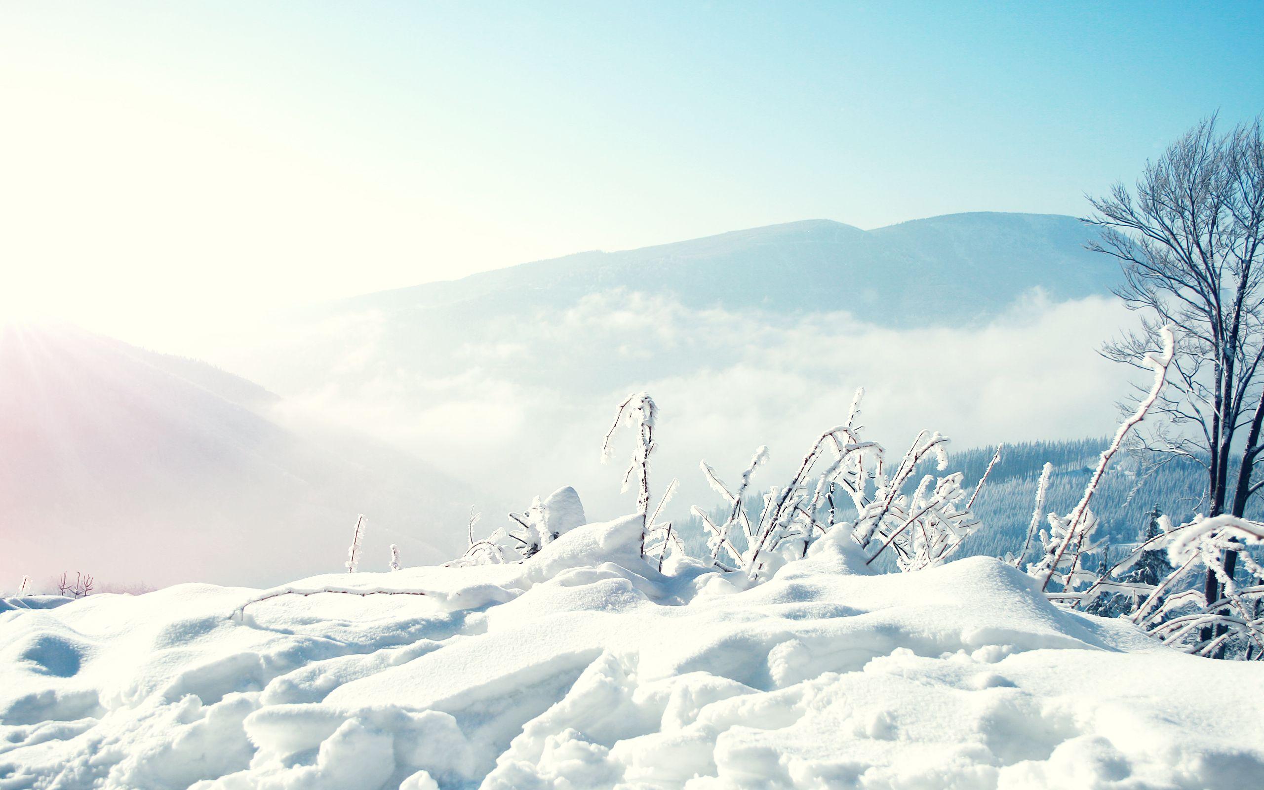 2560x1600 Snow Winter Mountains Wallpaper