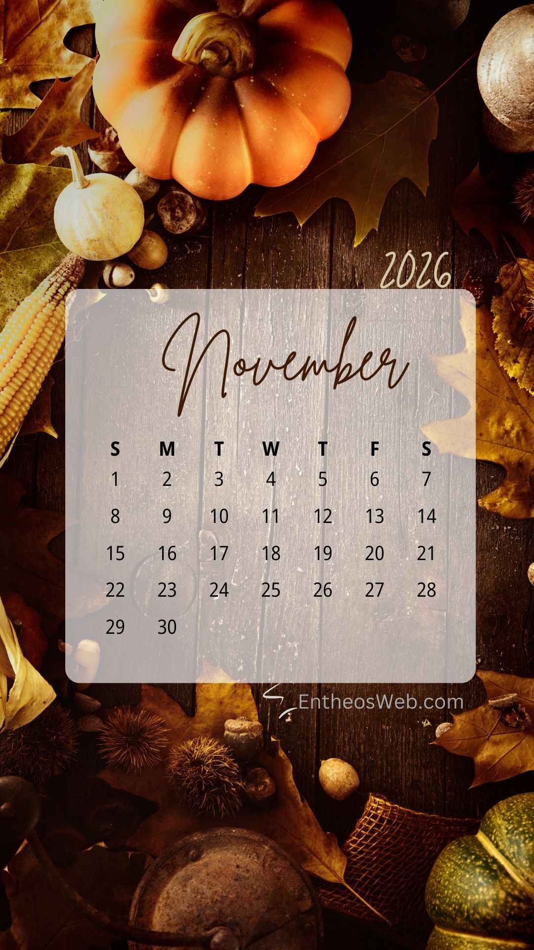 1080x1920 November Calendar Phone Wallpaper for 2026